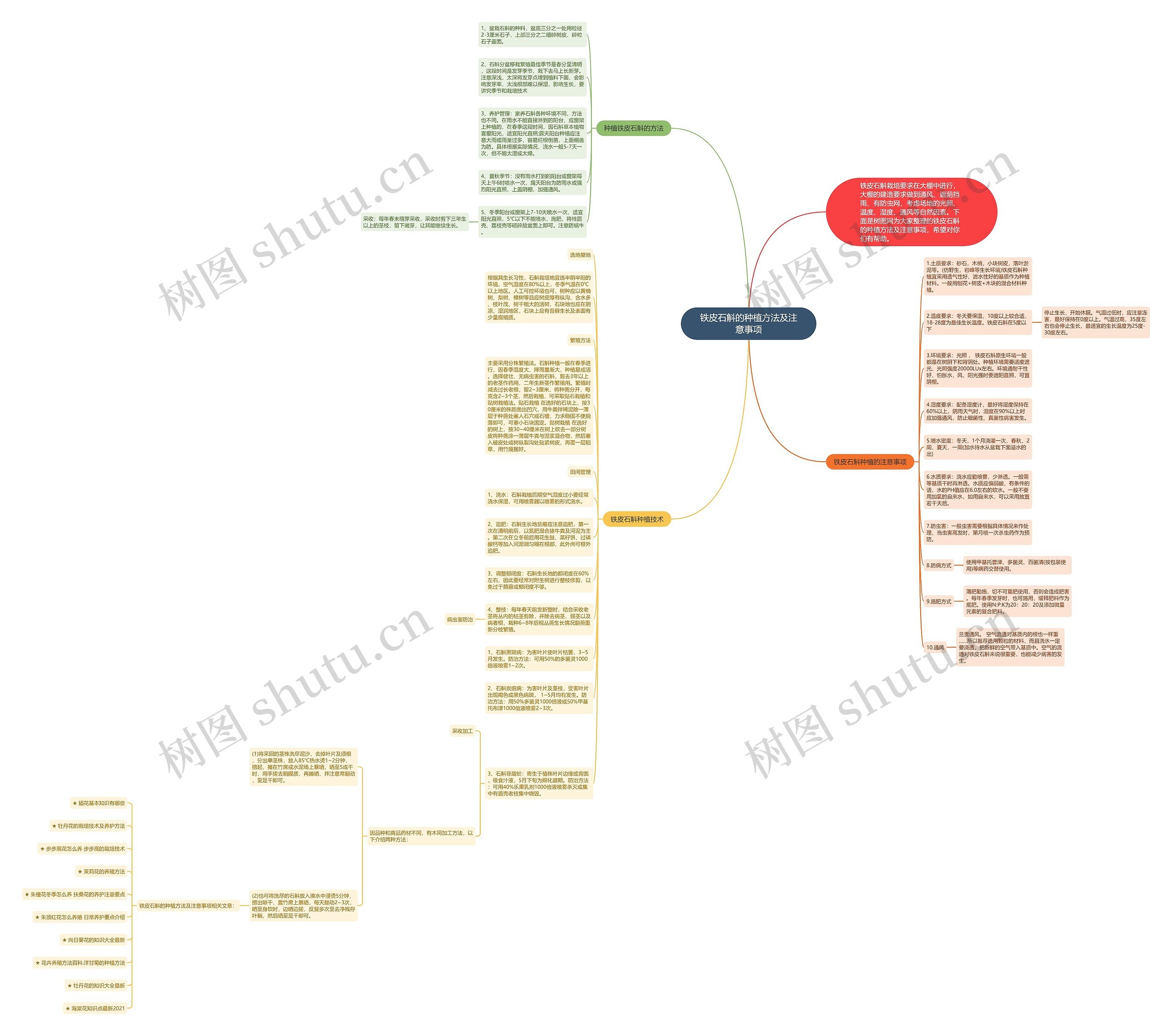 铁皮石斛的种植方法及注意事项思维导图