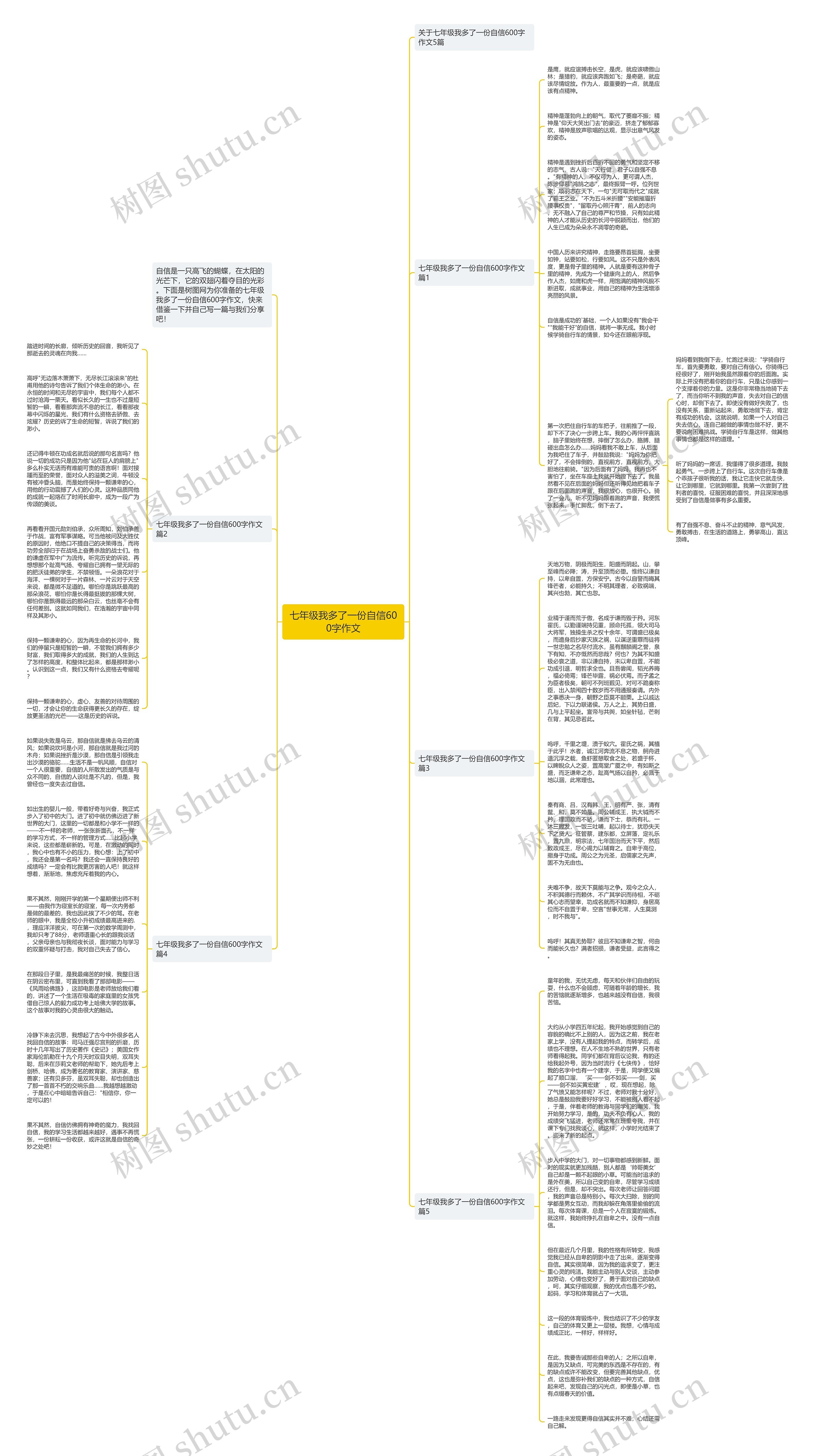 七年级我多了一份自信600字作文思维导图
