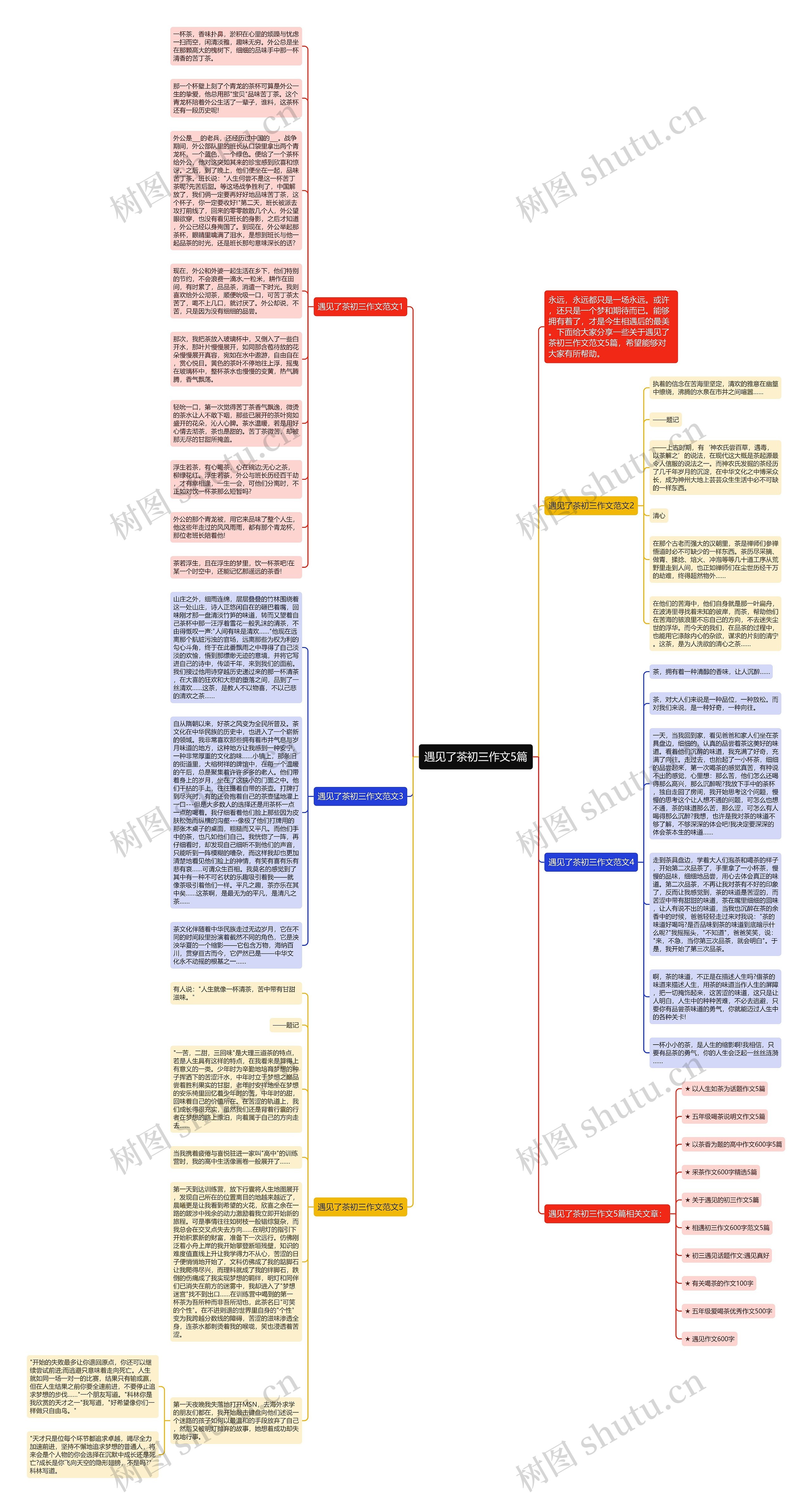 遇见了茶初三作文5篇思维导图