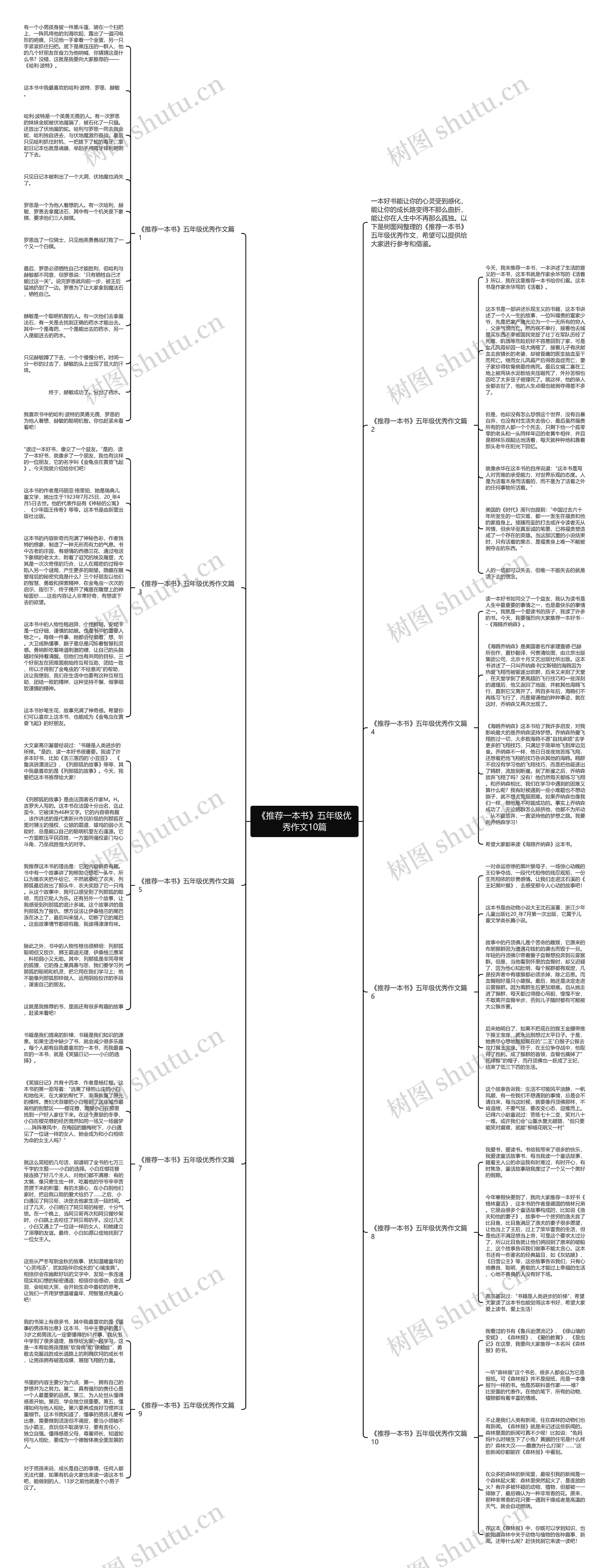 《推荐一本书》五年级优秀作文10篇思维导图