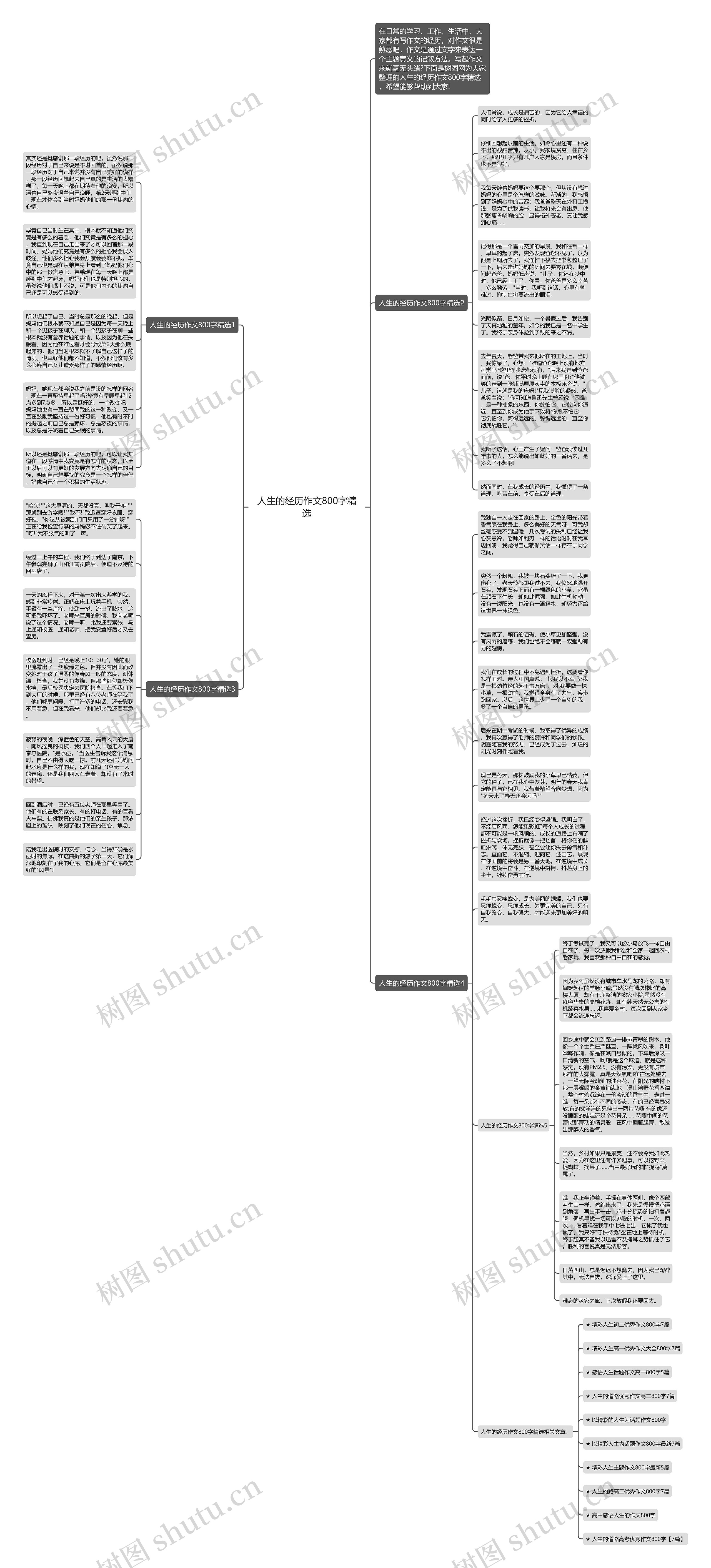 人生的经历作文800字精选思维导图