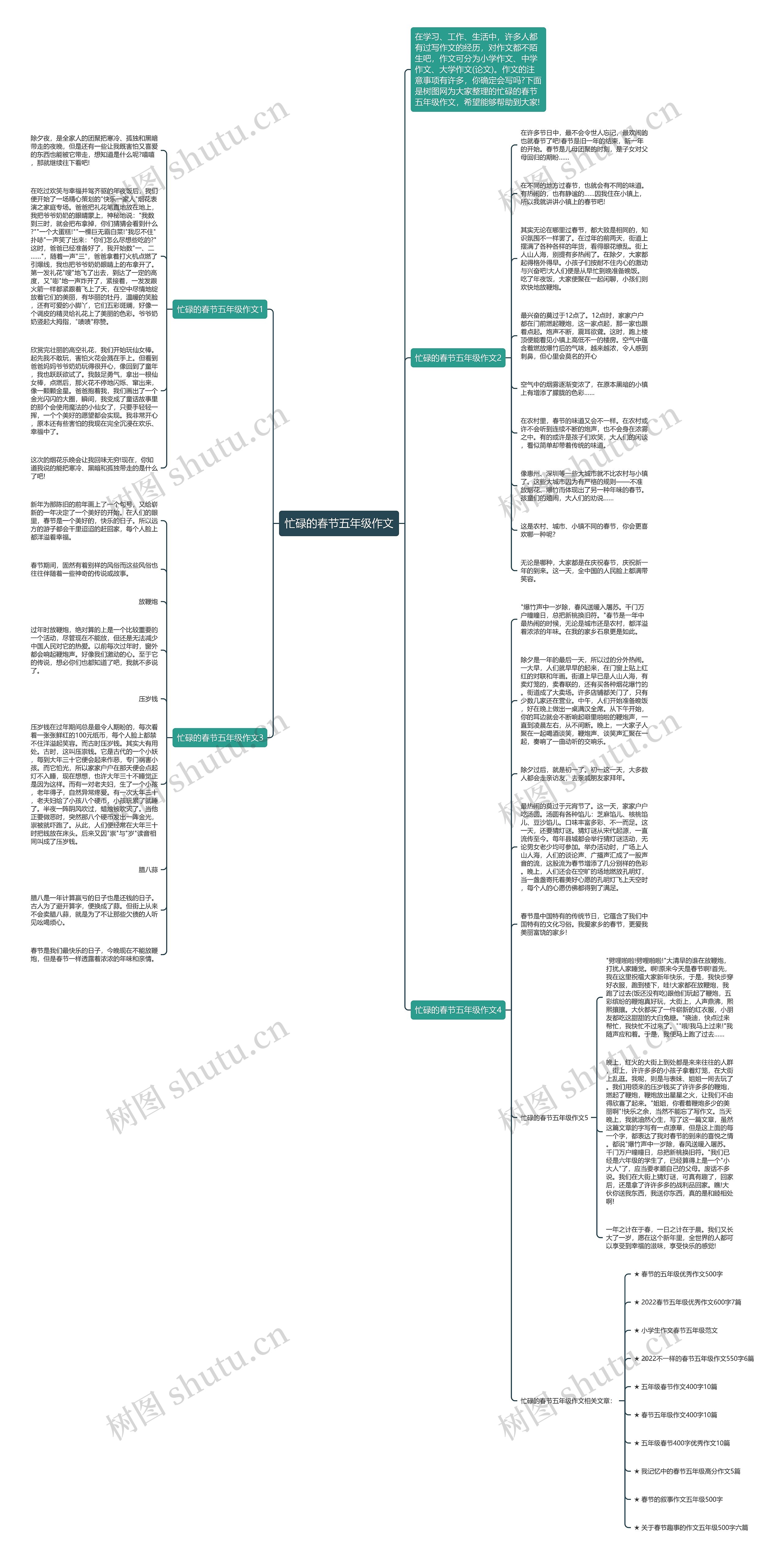 忙碌的春节五年级作文思维导图