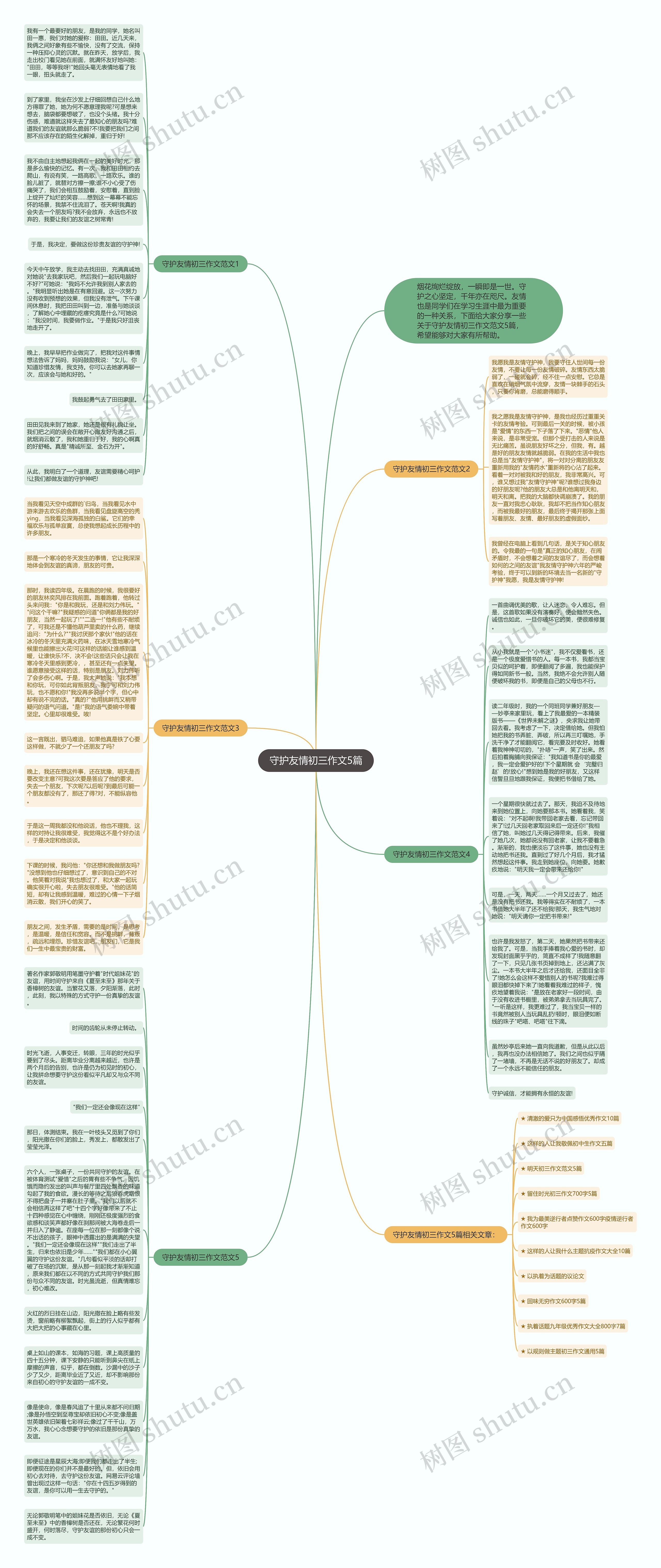 守护友情初三作文5篇思维导图