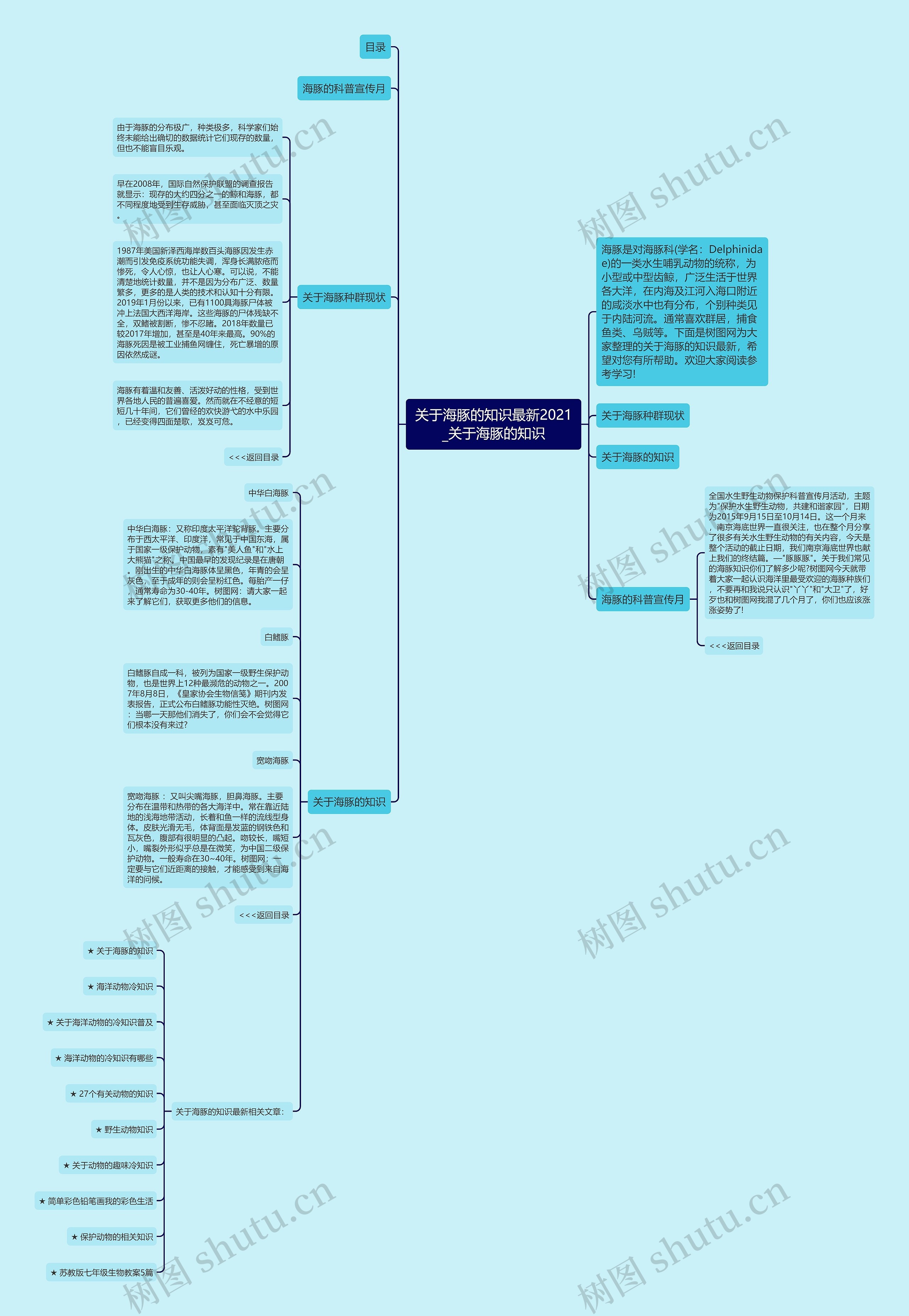 关于海豚的知识最新2021_关于海豚的知识思维导图