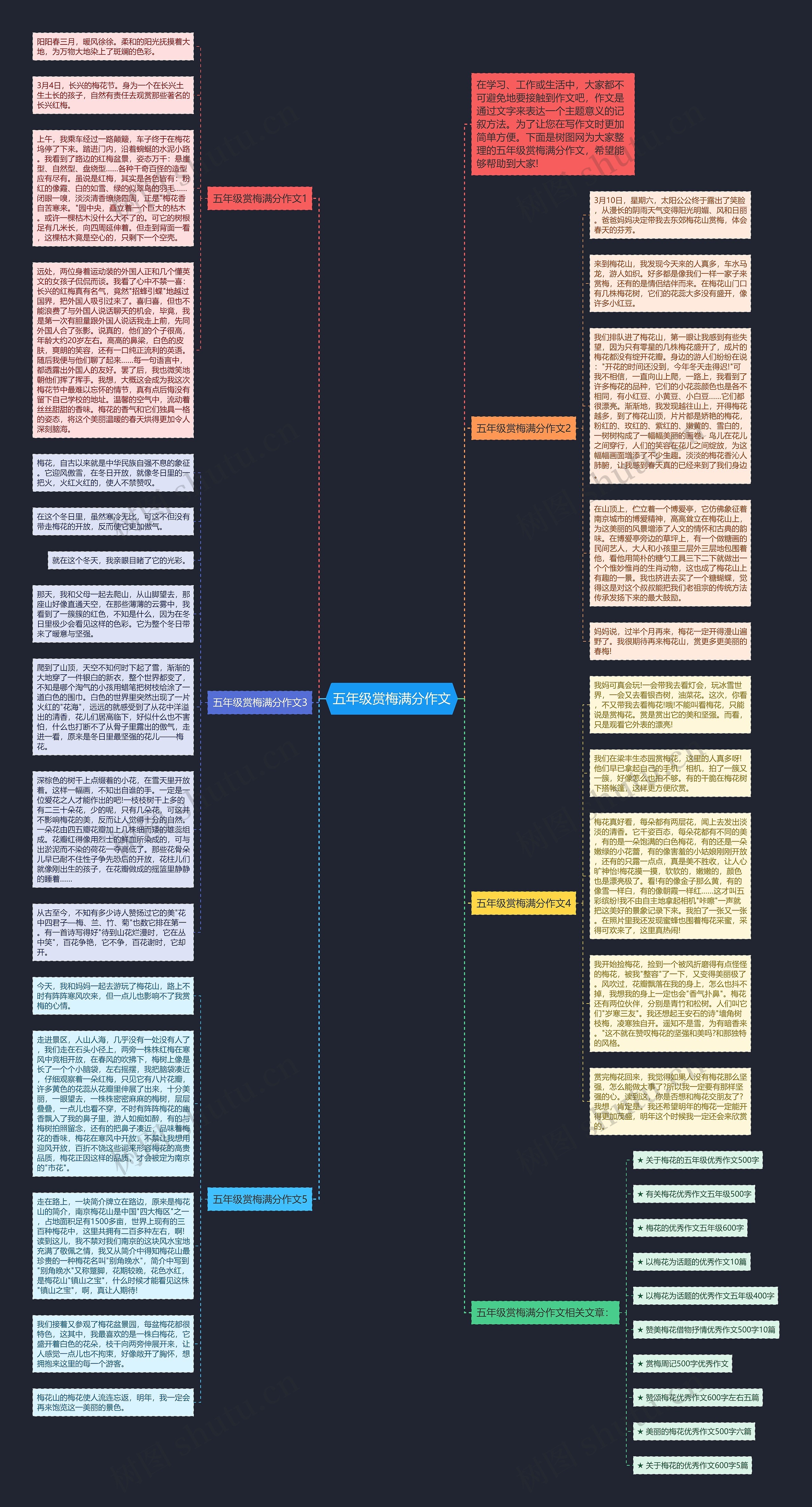 五年级赏梅满分作文思维导图