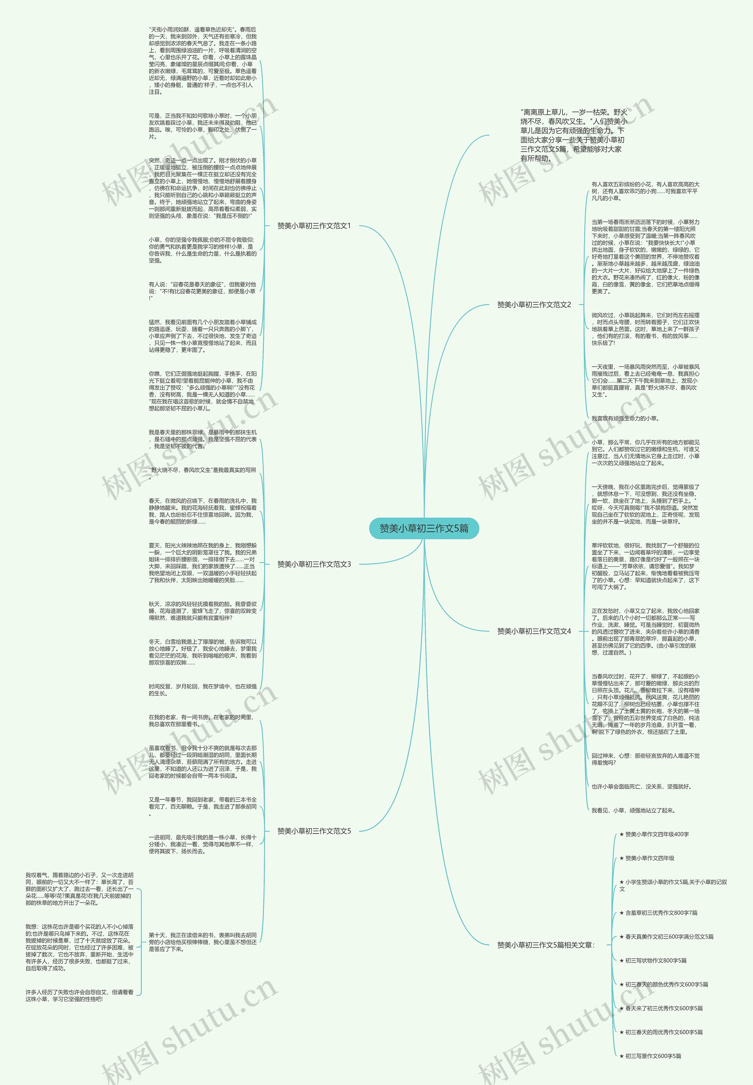 赞美小草初三作文5篇思维导图