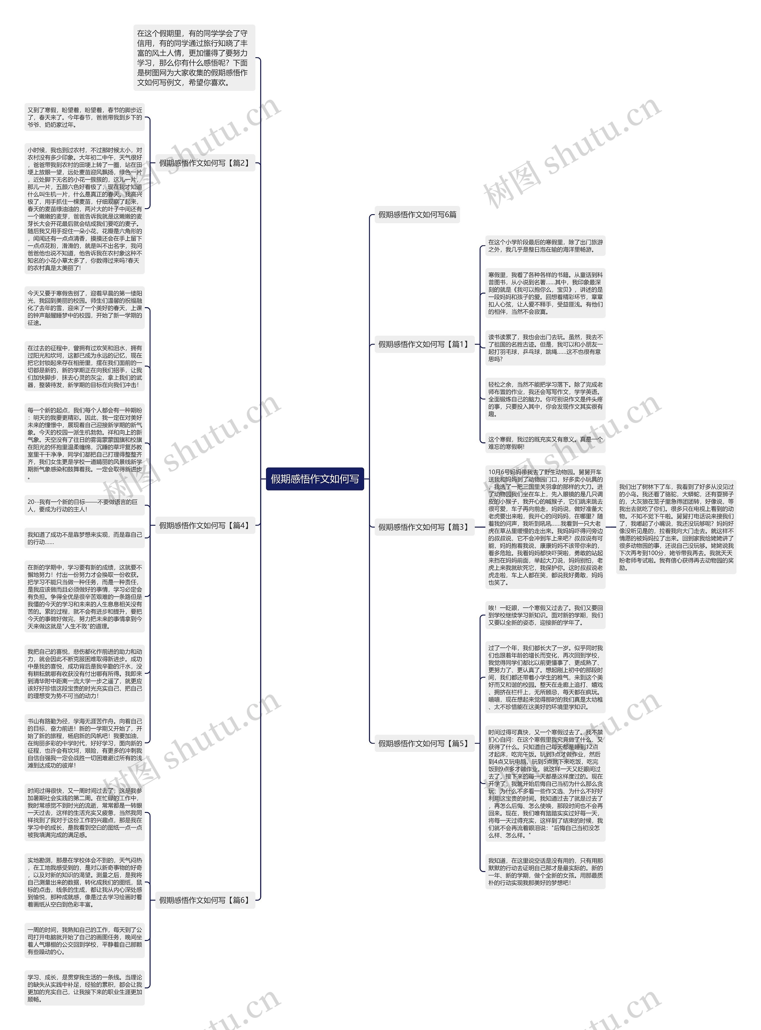 假期感悟作文如何写思维导图