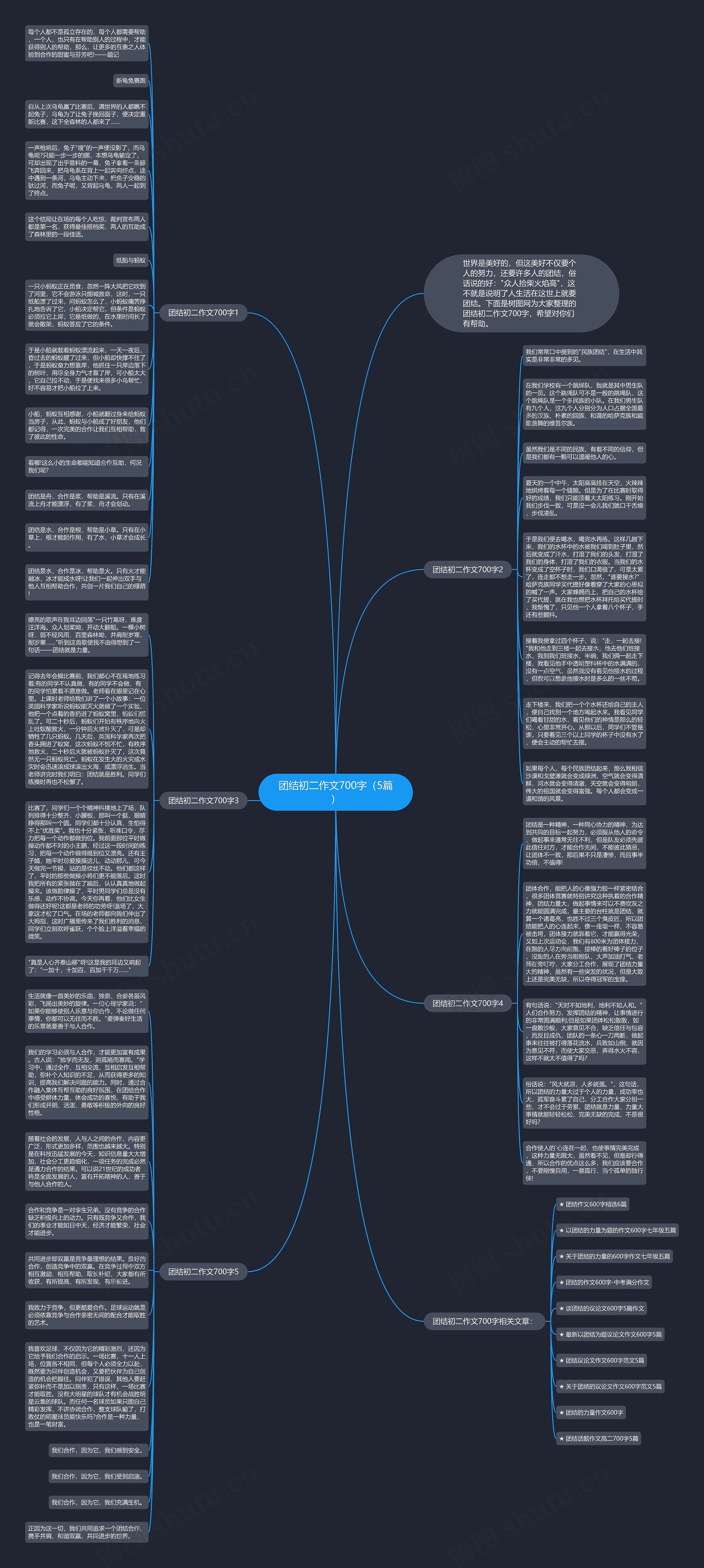 团结初二作文700字（5篇）思维导图