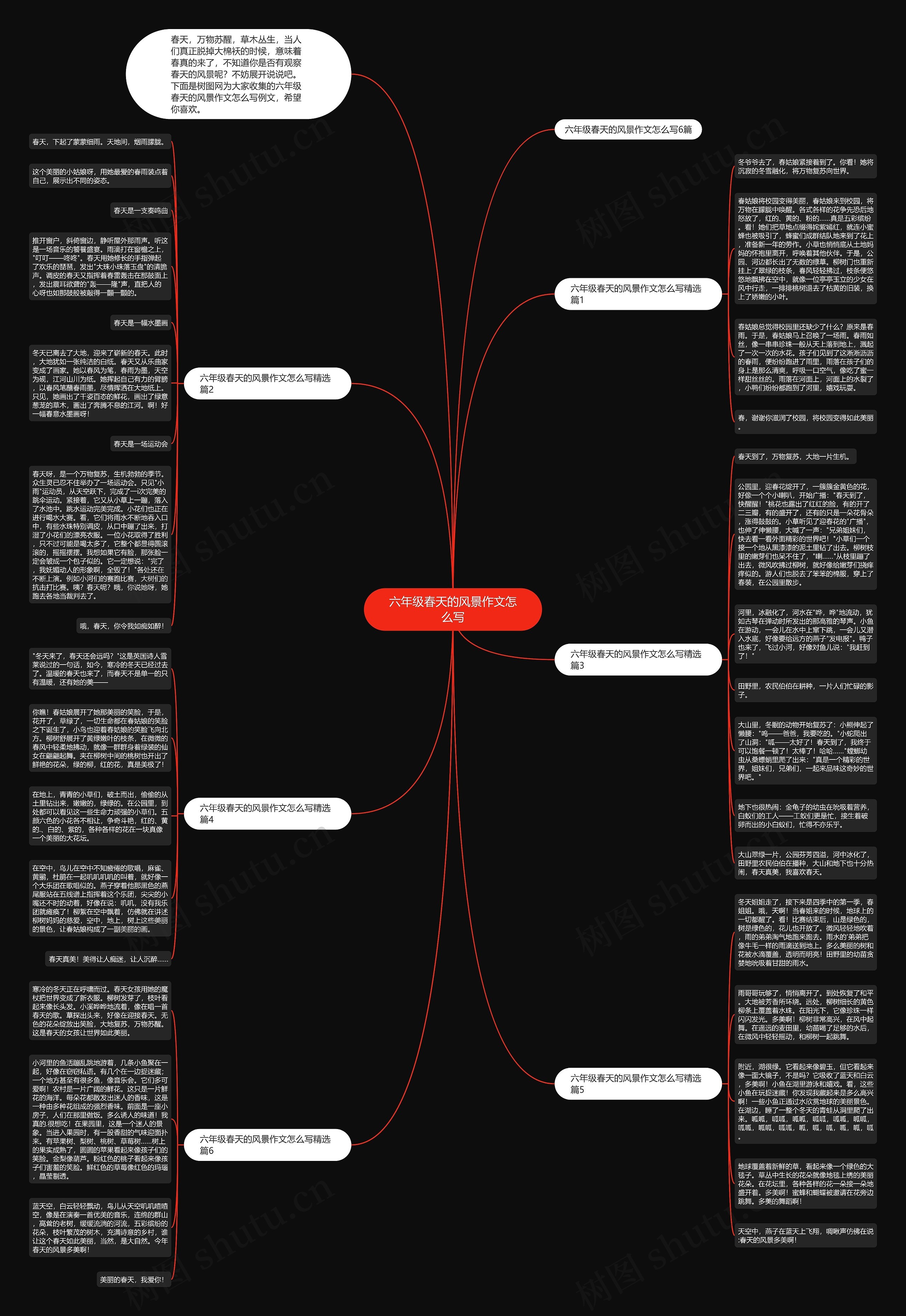 六年级春天的风景作文怎么写思维导图