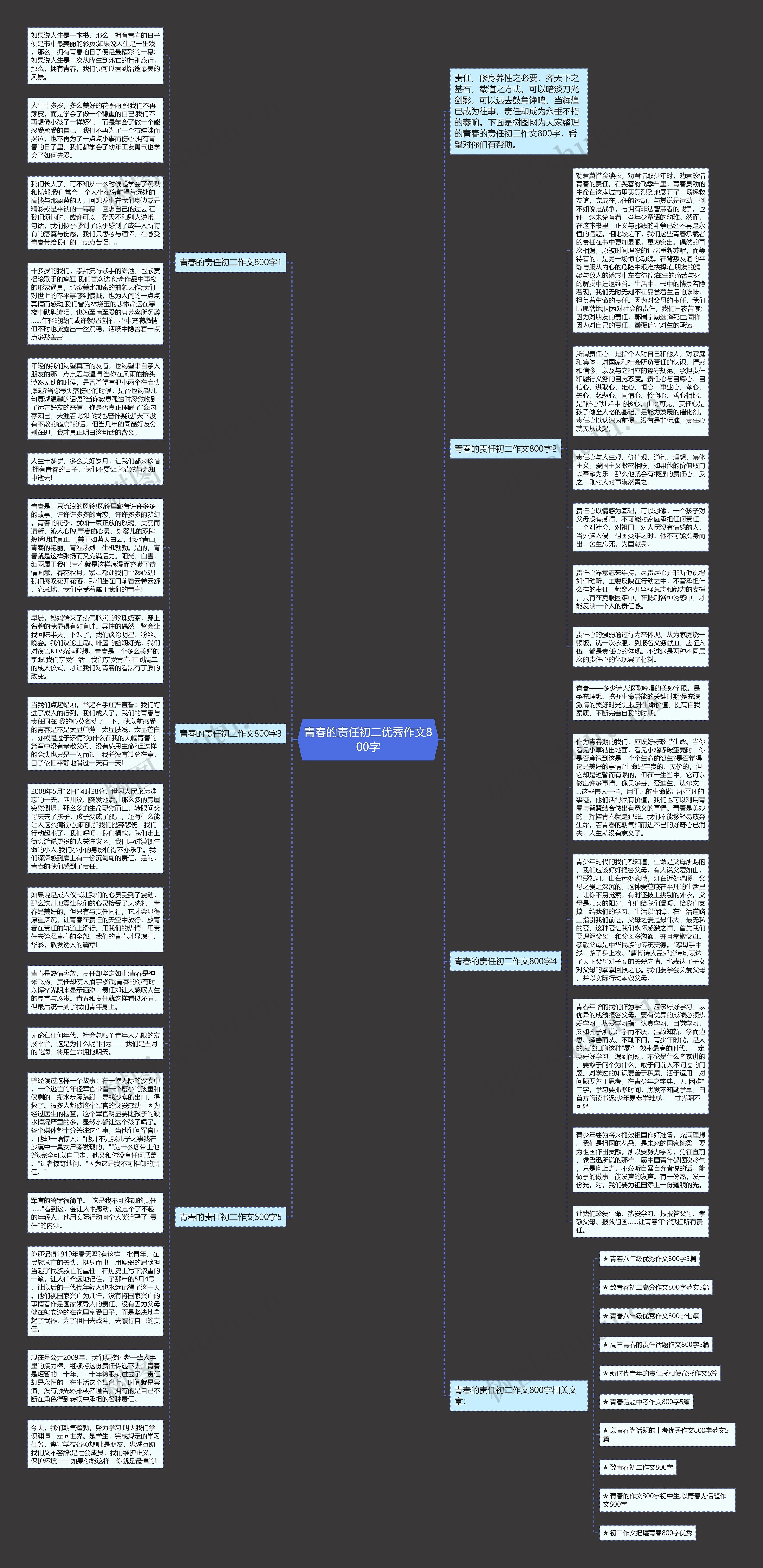 青春的责任初二优秀作文800字思维导图