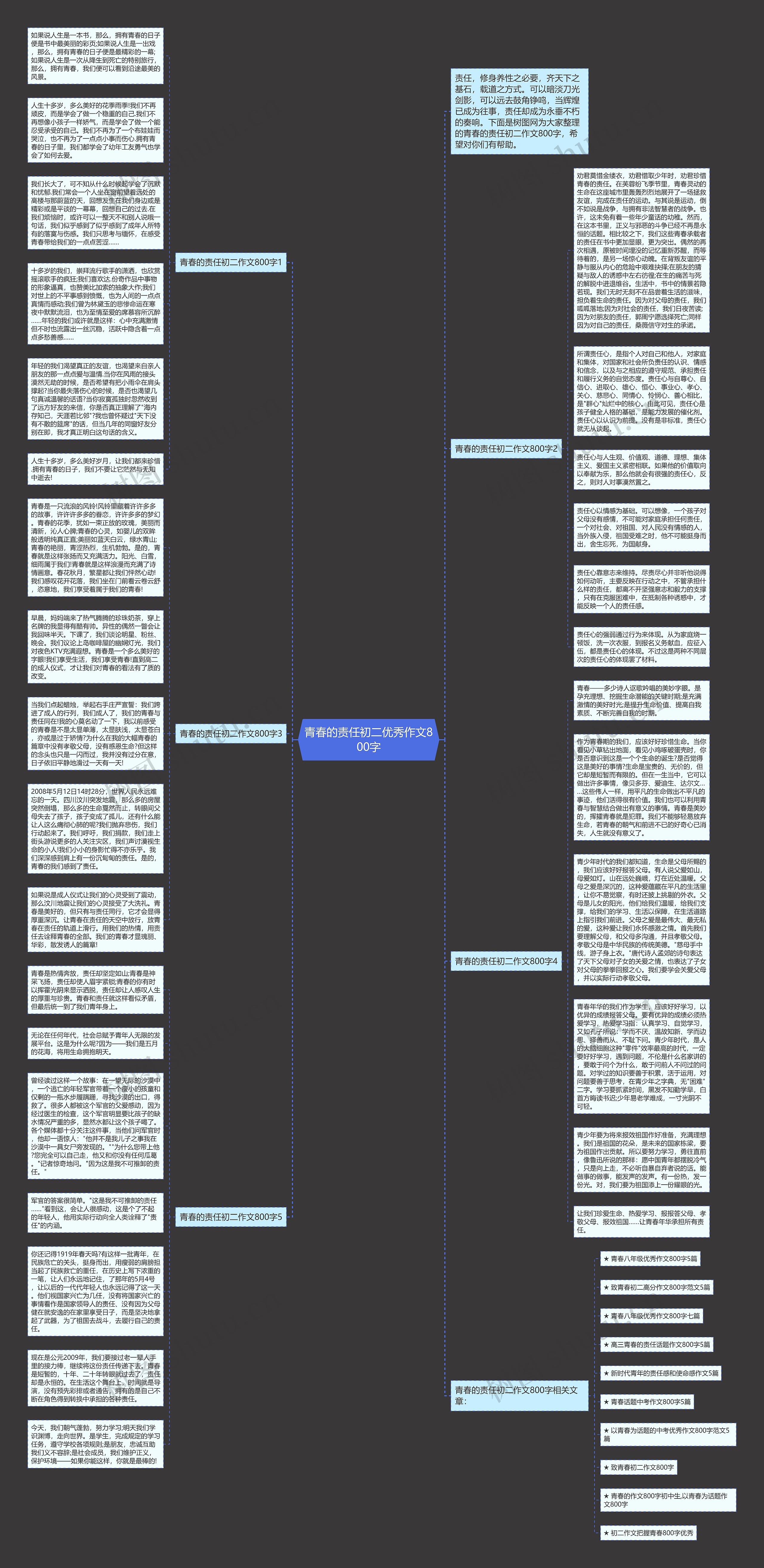 青春的责任初二优秀作文800字思维导图高清图 青春的责任初二优秀作文800字思维导图