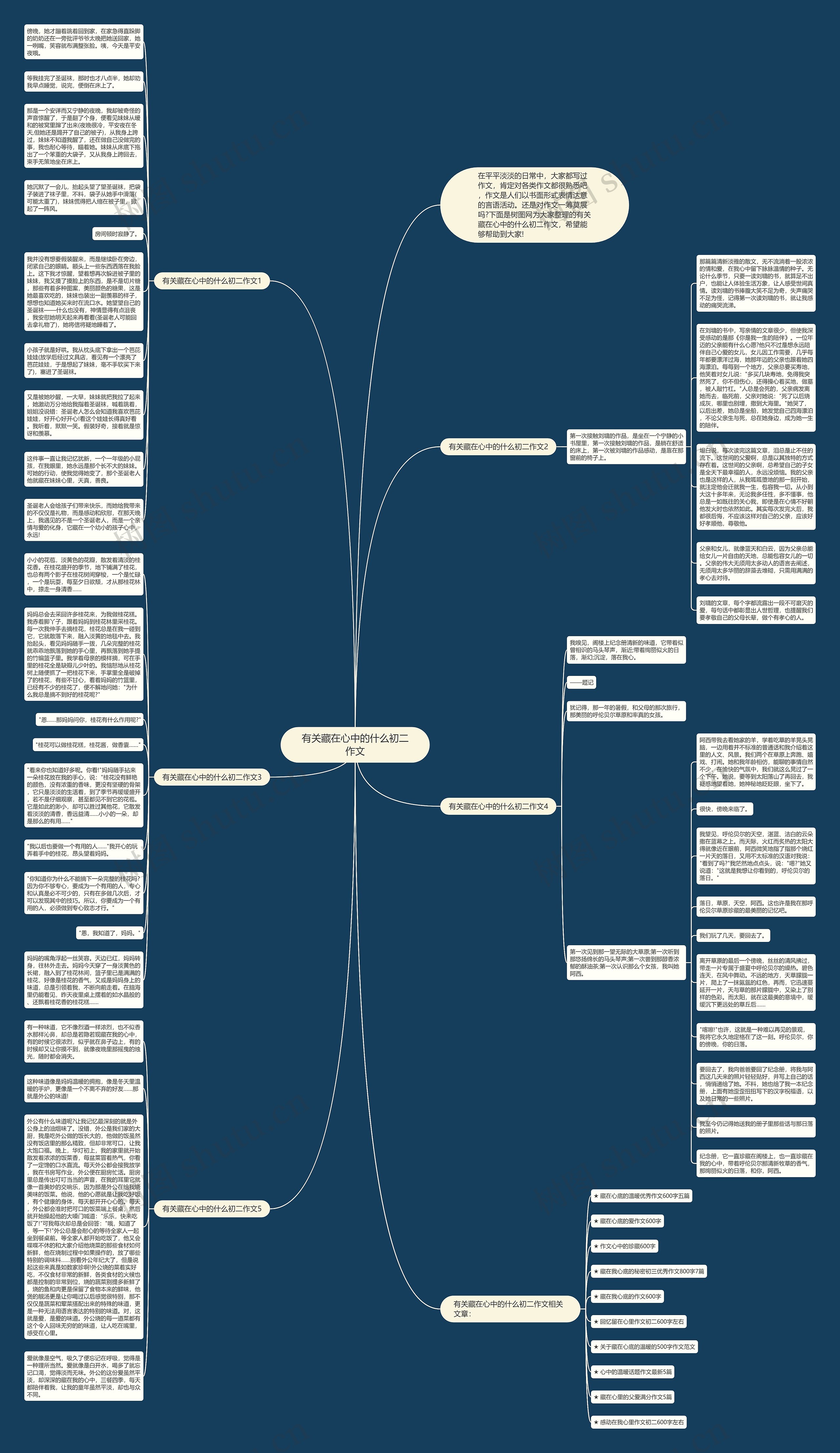 有关藏在心中的什么初二作文思维导图