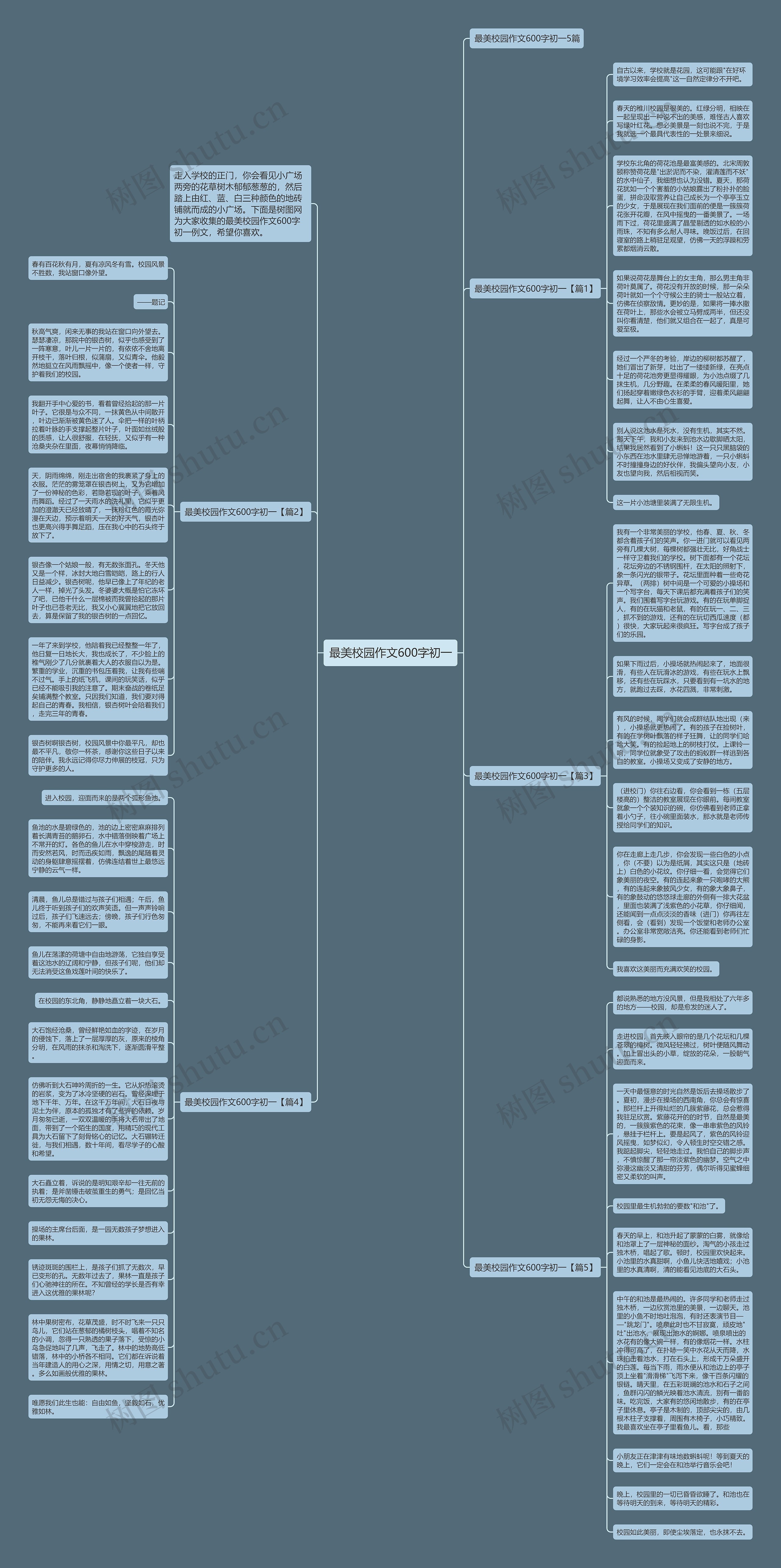 最美校园作文600字初一思维导图