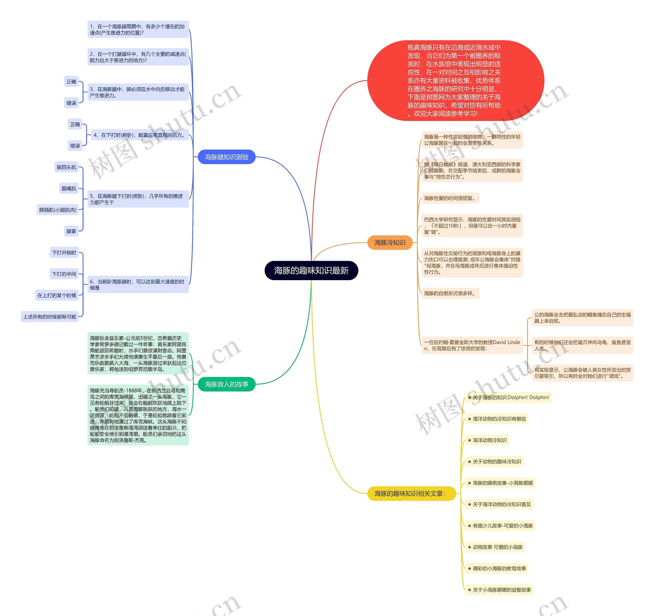 海豚的趣味知识最新思维导图
