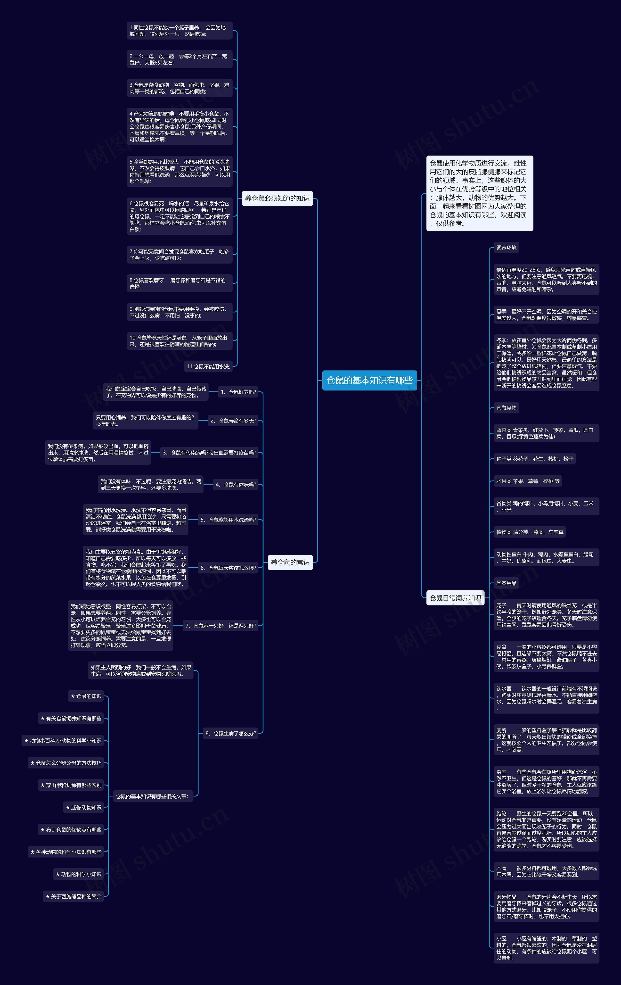仓鼠的基本知识有哪些思维导图