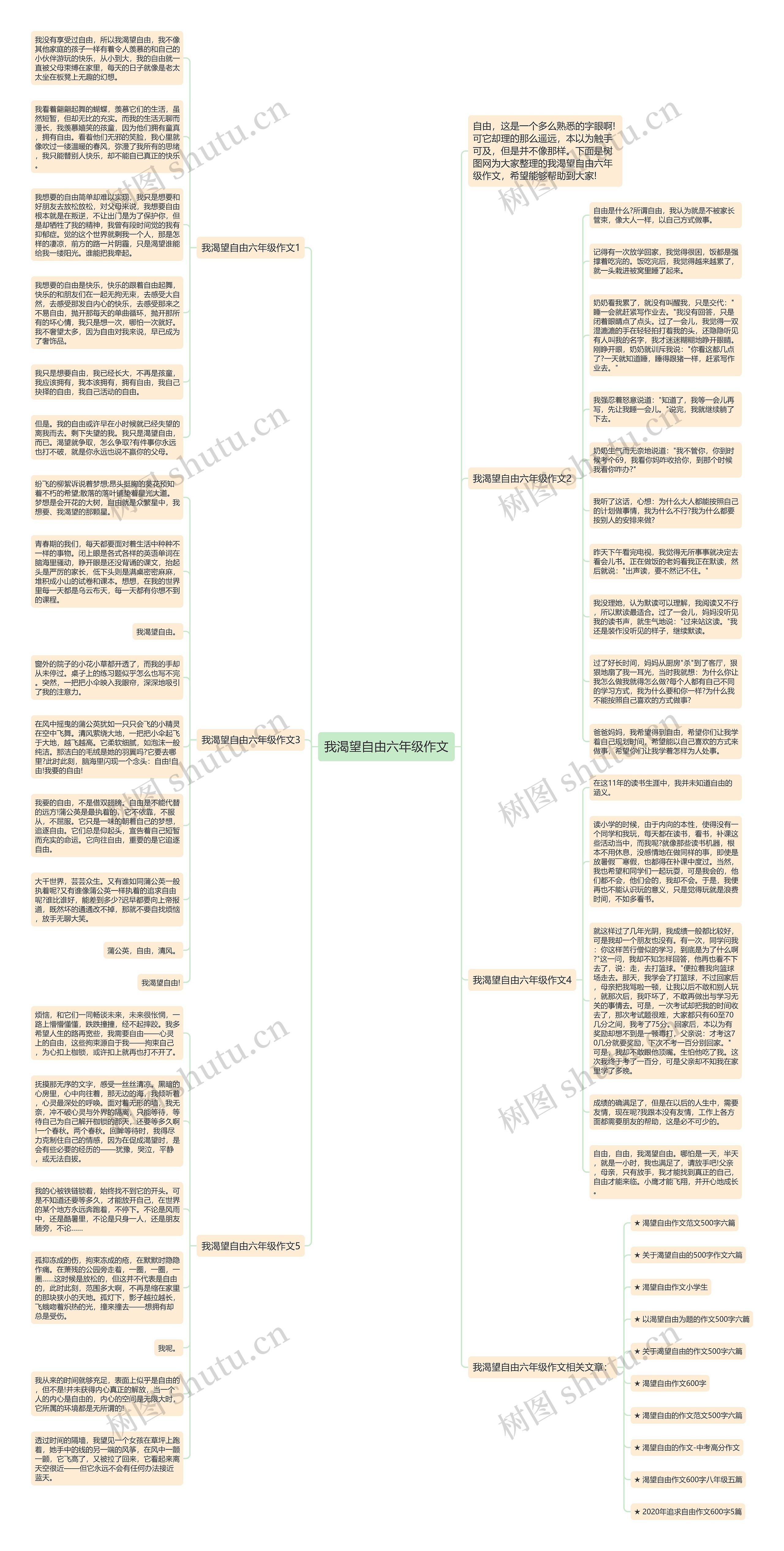 我渴望自由六年级作文思维导图