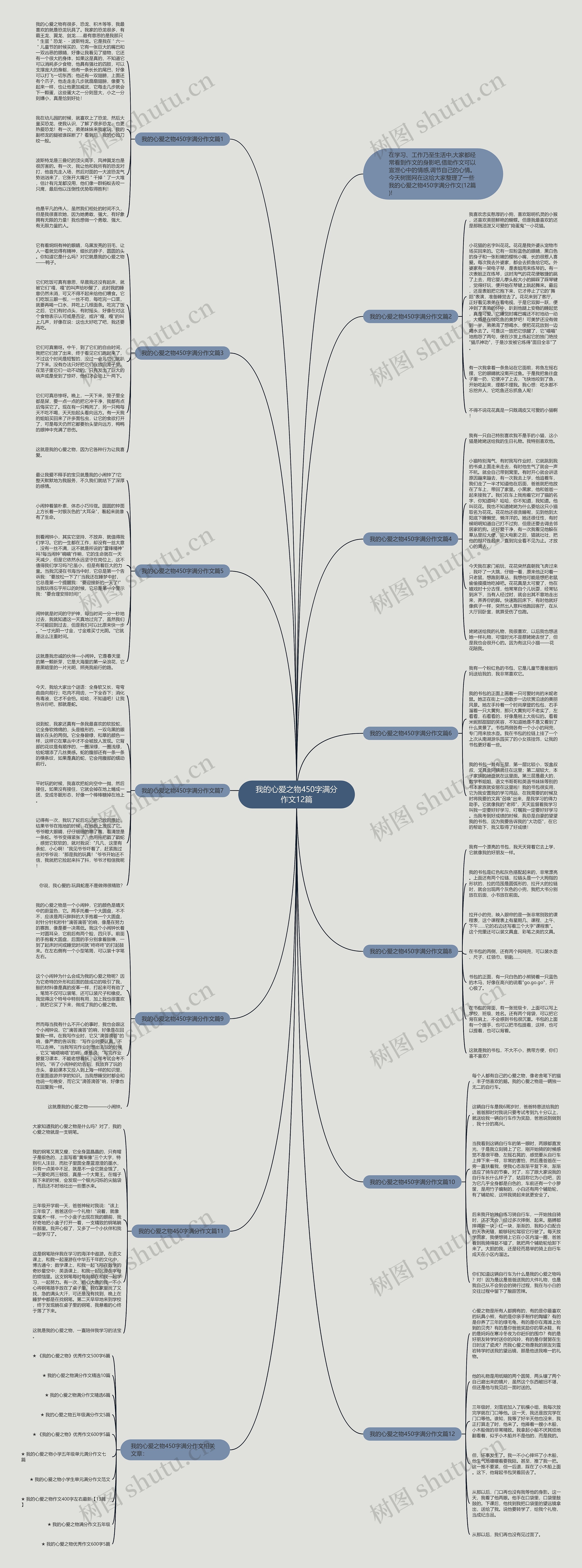 我的心爱之物450字满分作文12篇思维导图