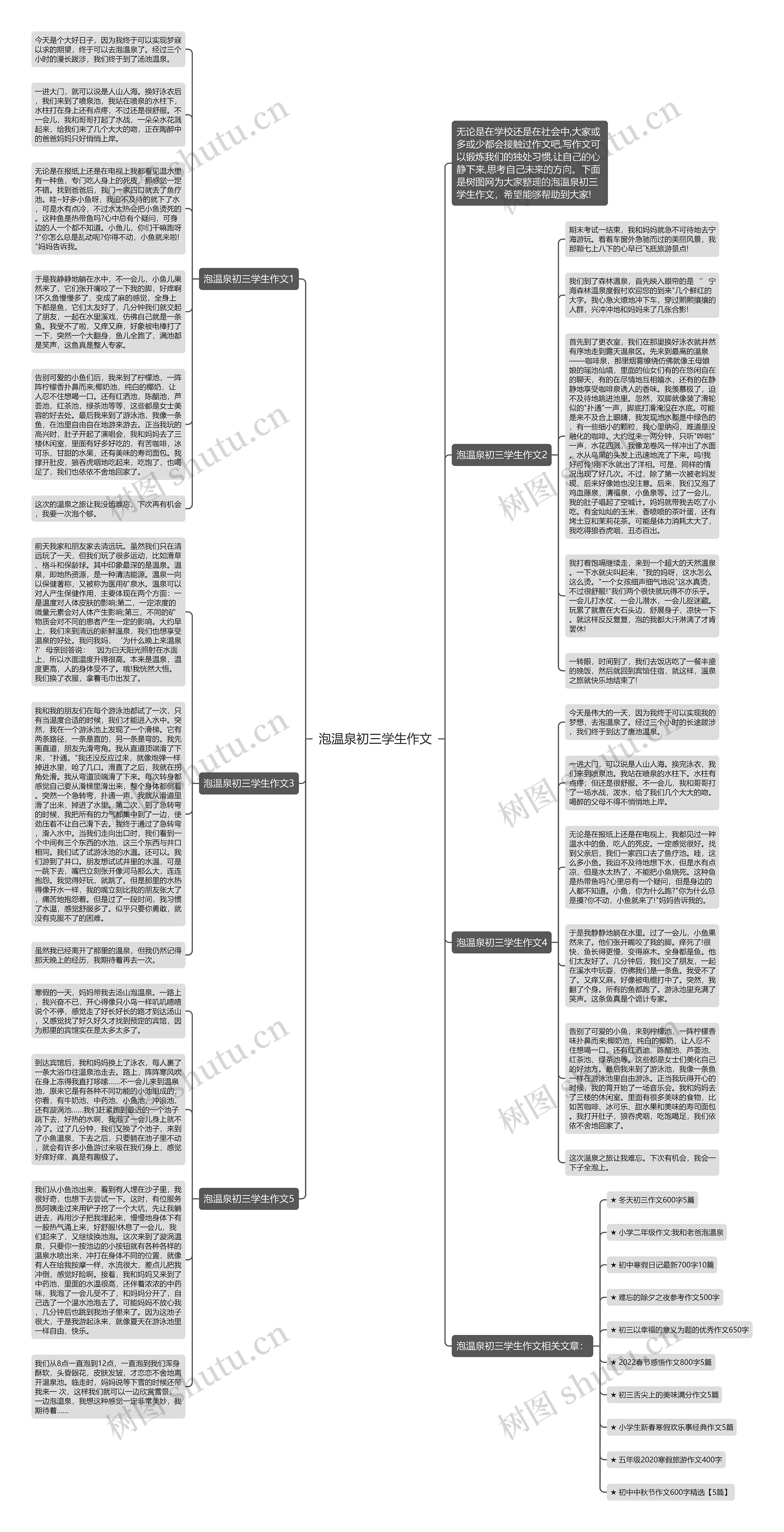 泡温泉初三学生作文思维导图