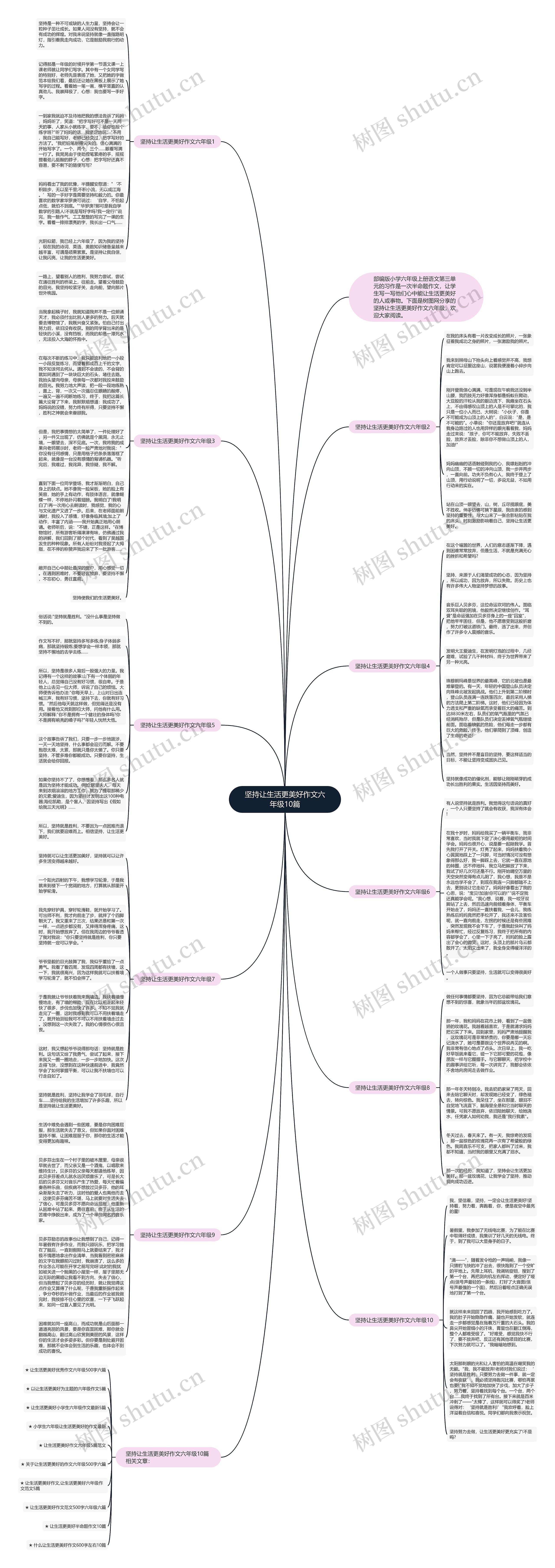 坚持让生活更美好作文六年级10篇思维导图