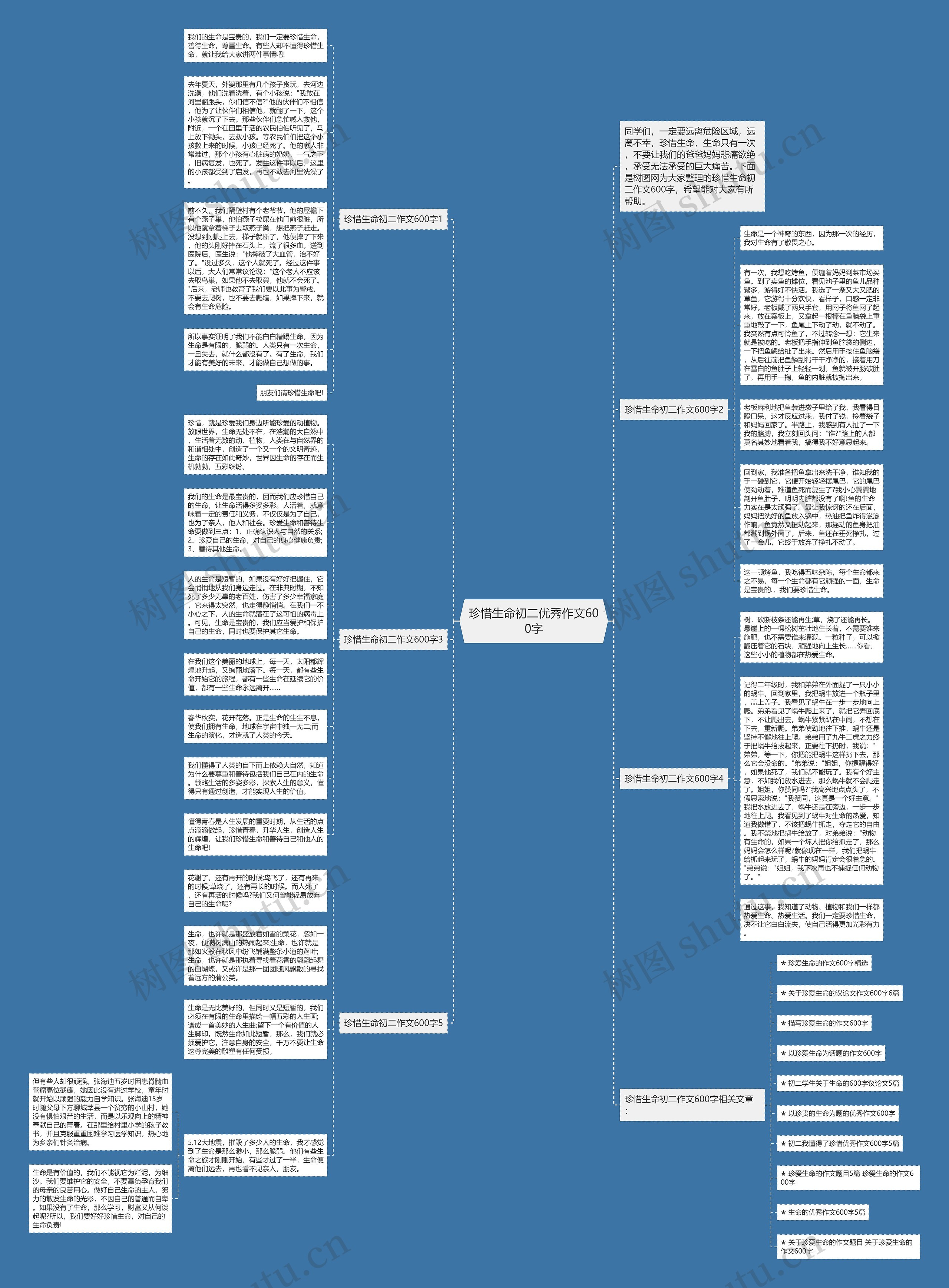 珍惜生命初二优秀作文600字