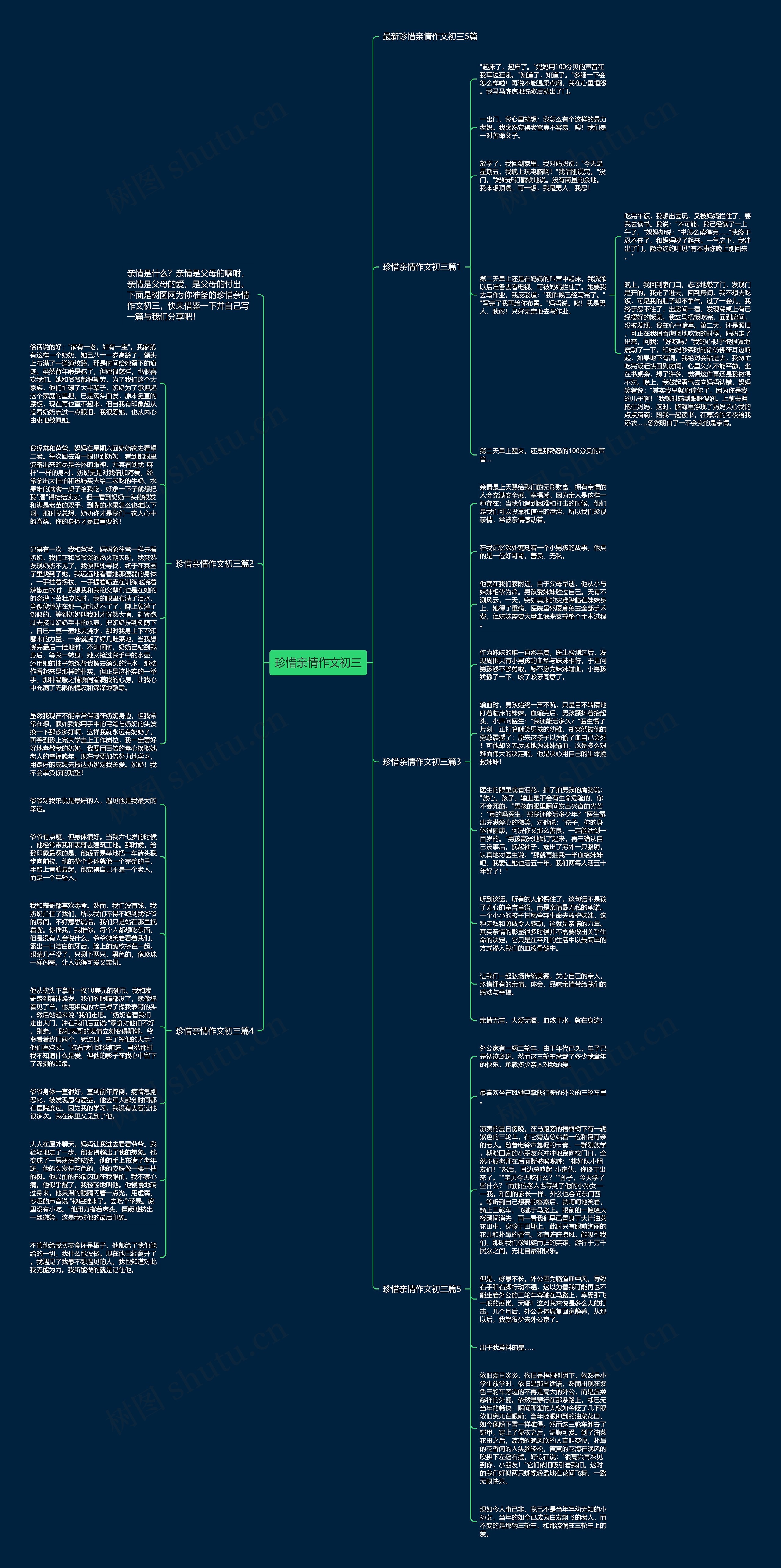 珍惜亲情作文初三思维导图