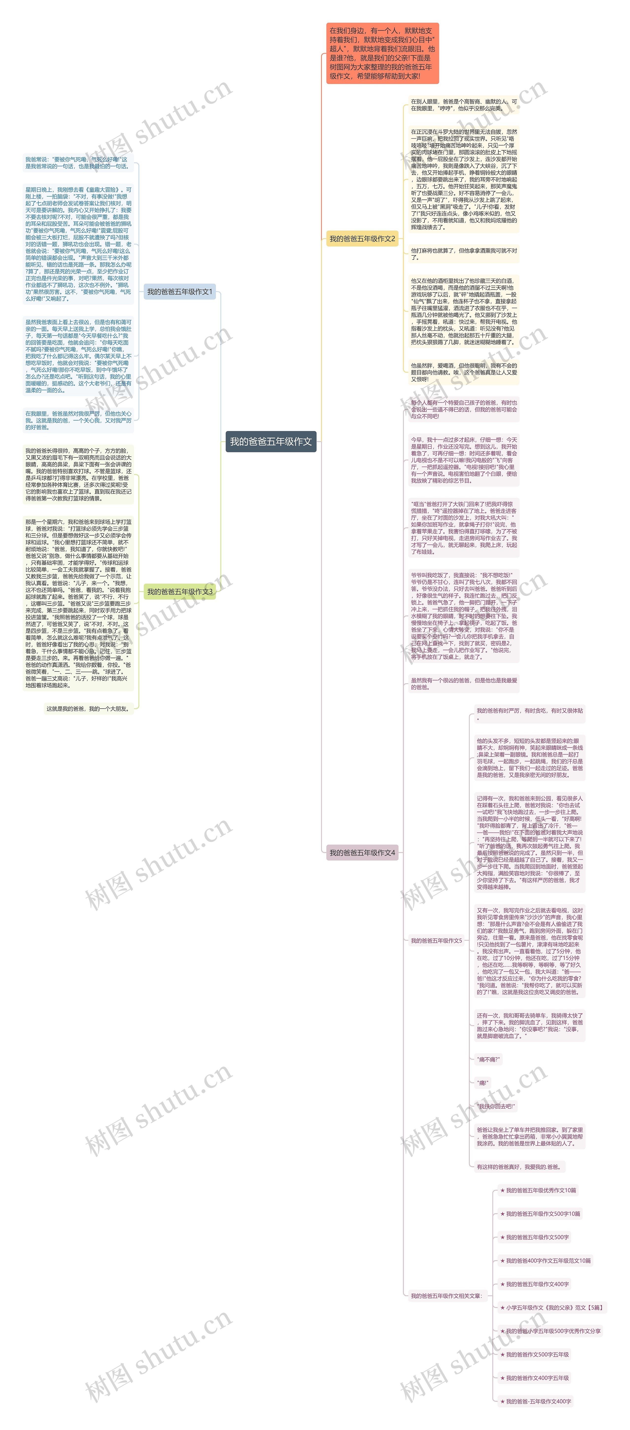 我的爸爸五年级作文思维导图