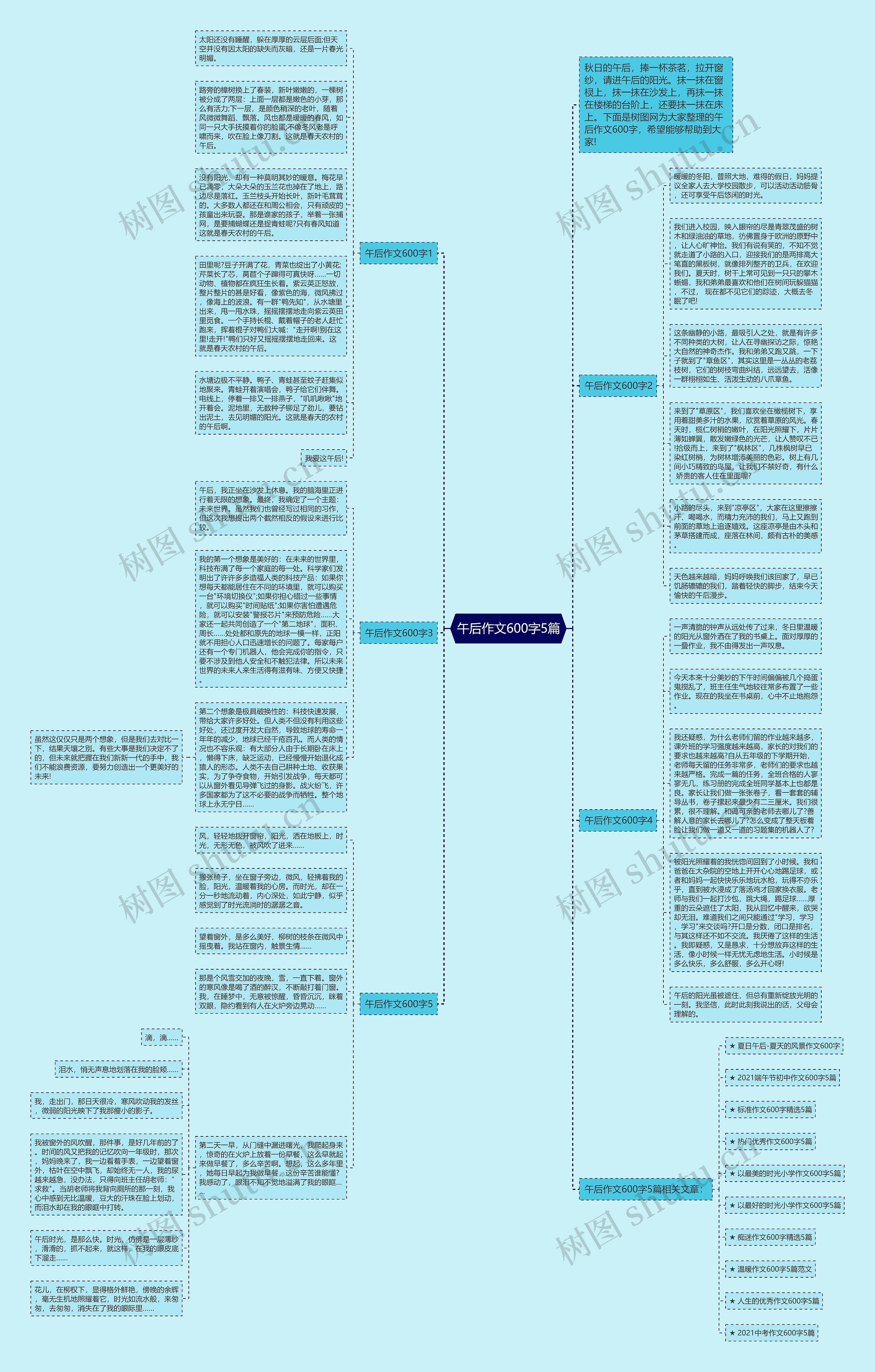 午后作文600字5篇思维导图
