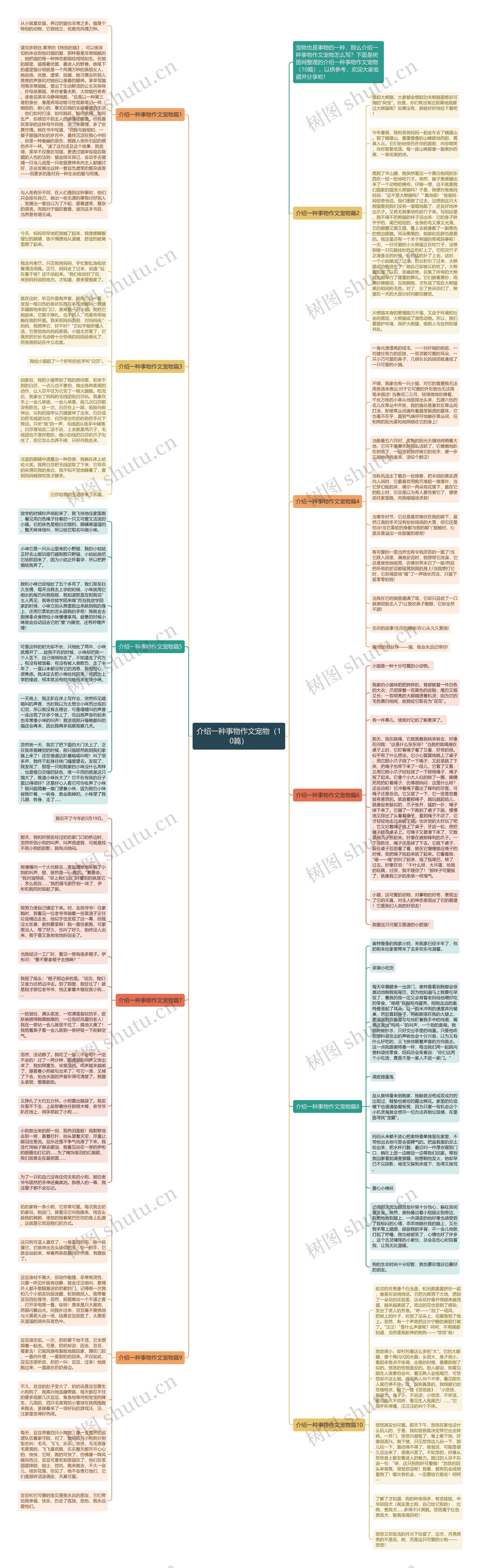 介绍一种事物作文宠物（10篇）思维导图