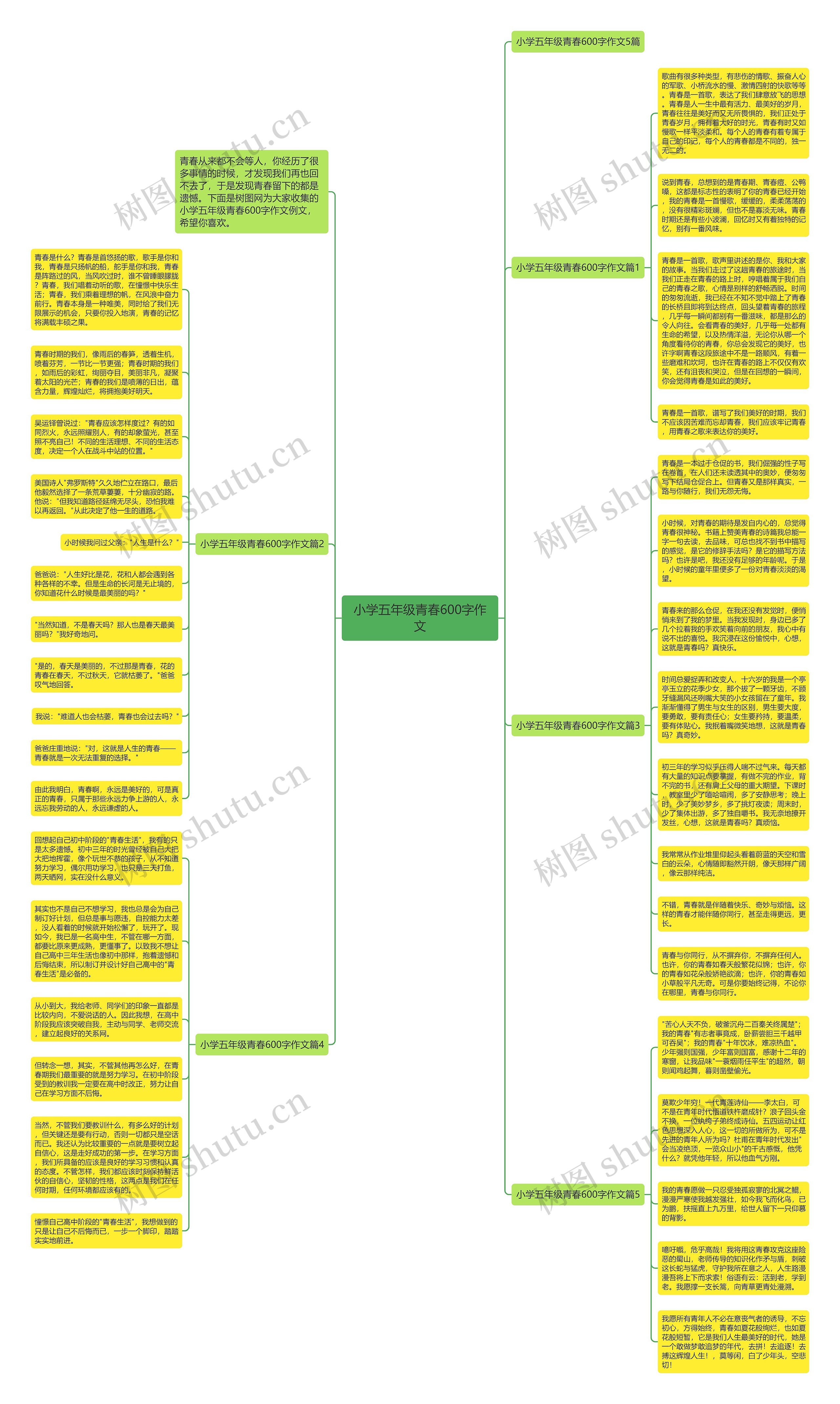 小学五年级青春600字作文思维导图