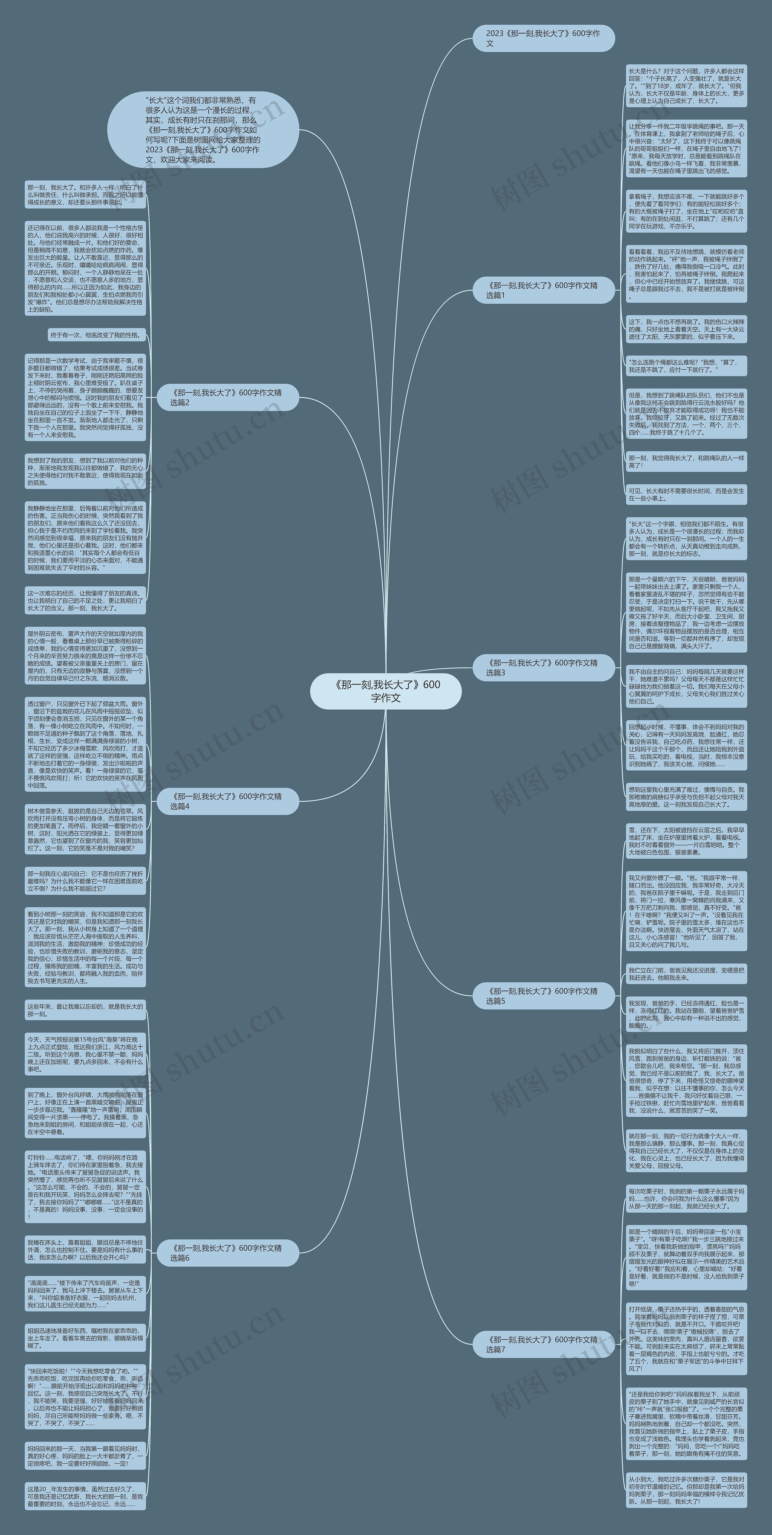 《那一刻,我长大了》600字作文思维导图