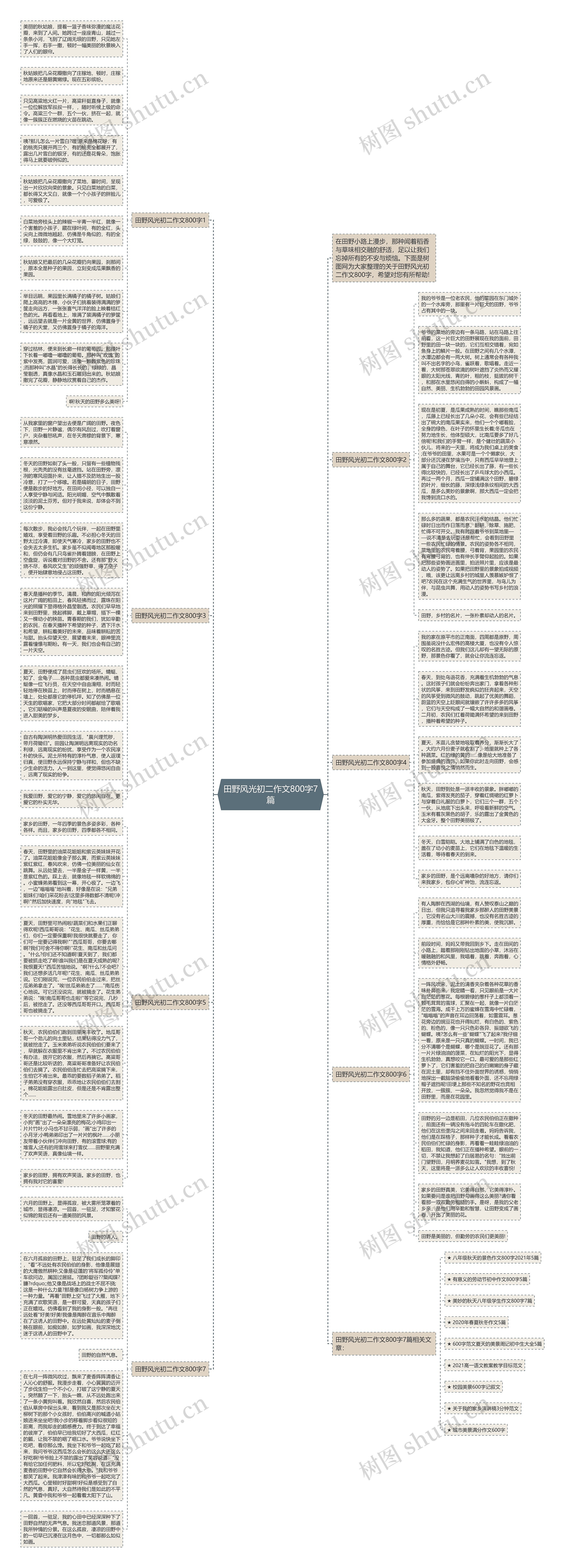 田野风光初二作文800字7篇思维导图