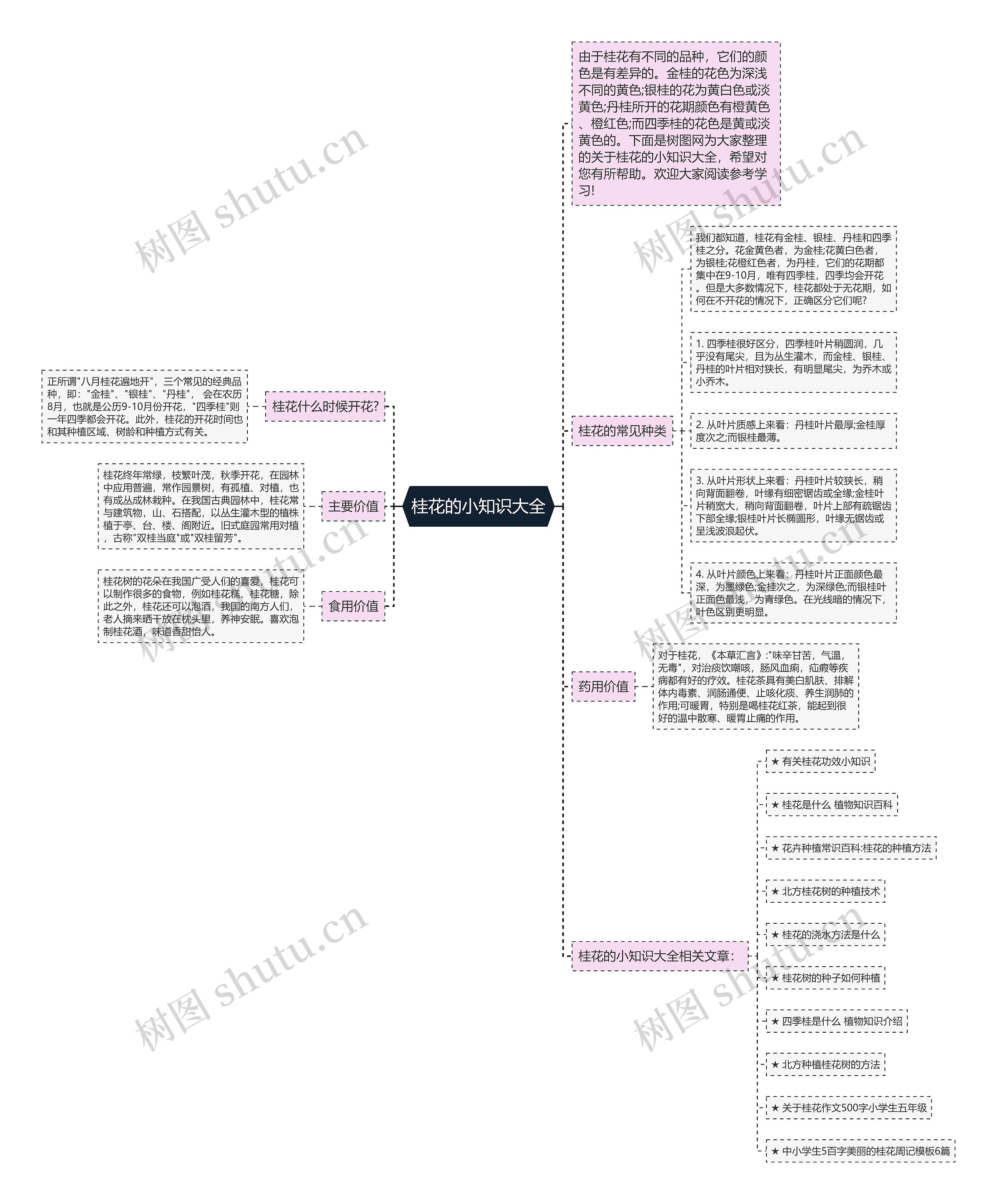 桂花的小知识大全思维导图