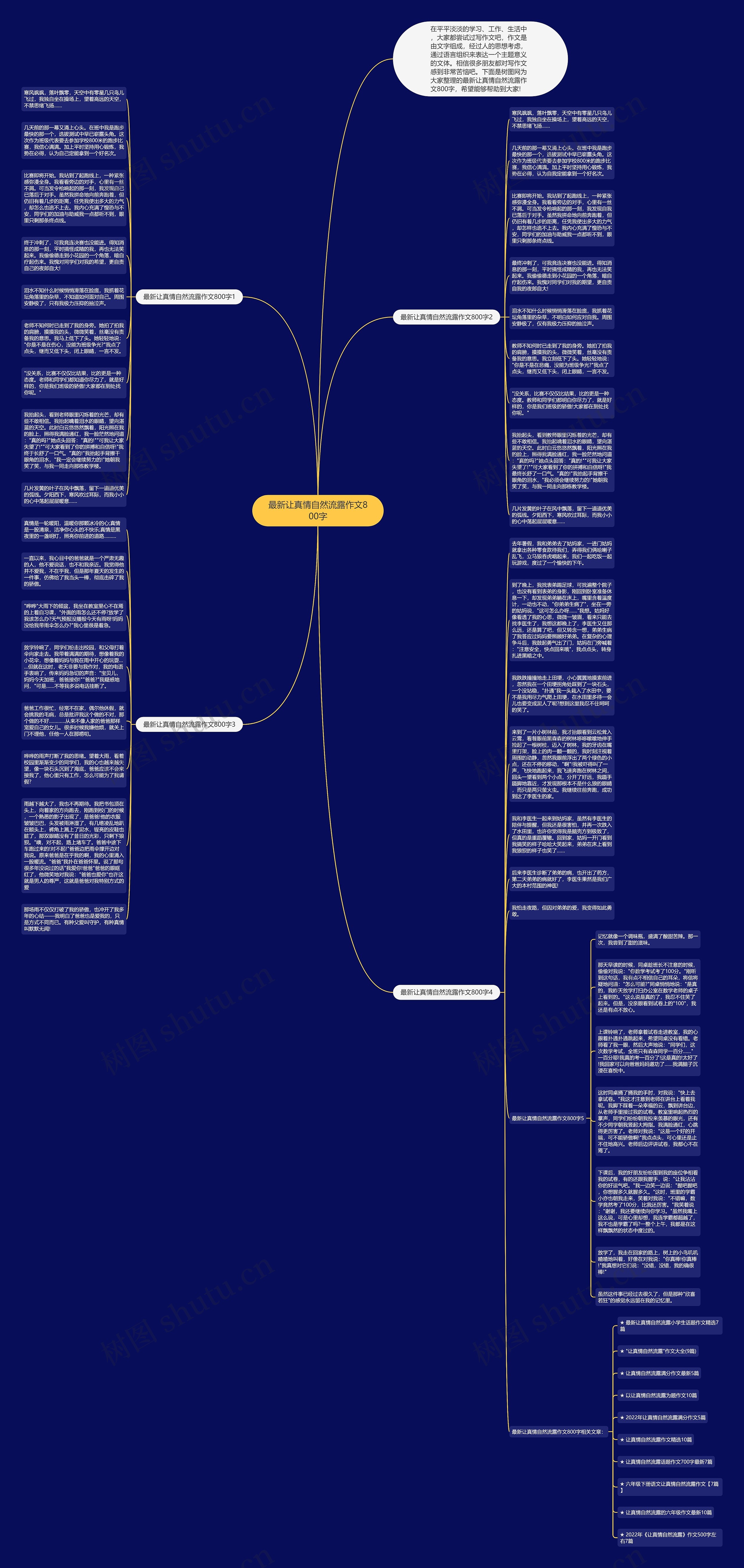 最新让真情自然流露作文800字思维导图