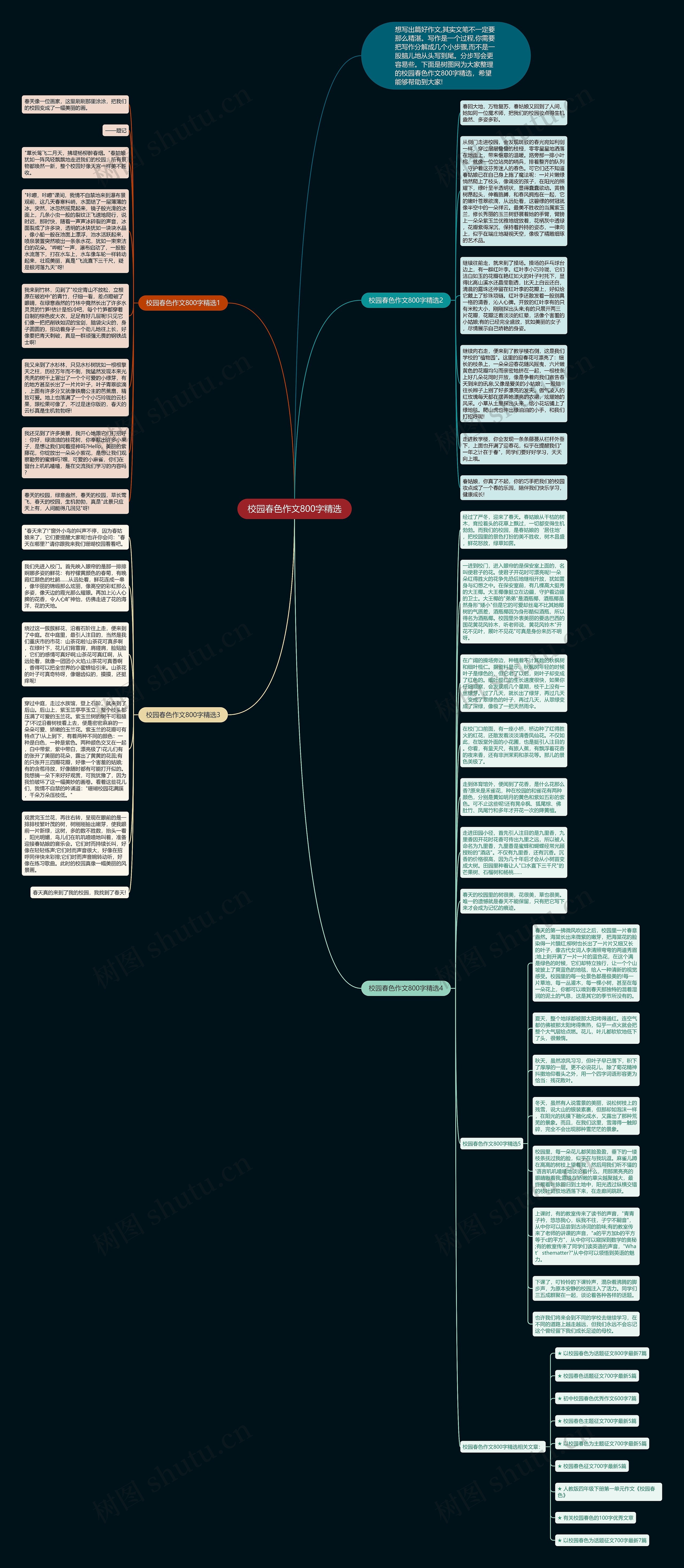 校园春色作文800字精选