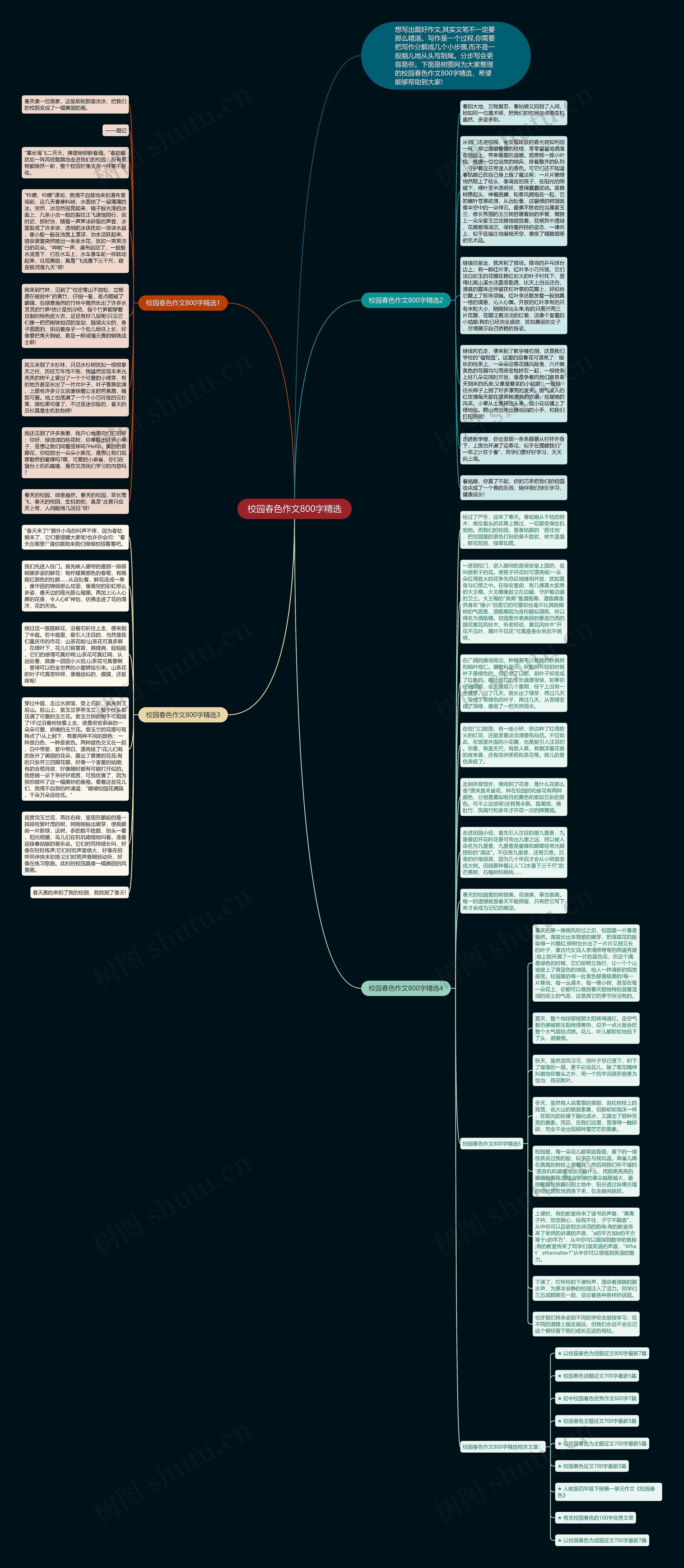 校园春色作文800字精选思维导图高清图 校园春色作文800字精选思维导图