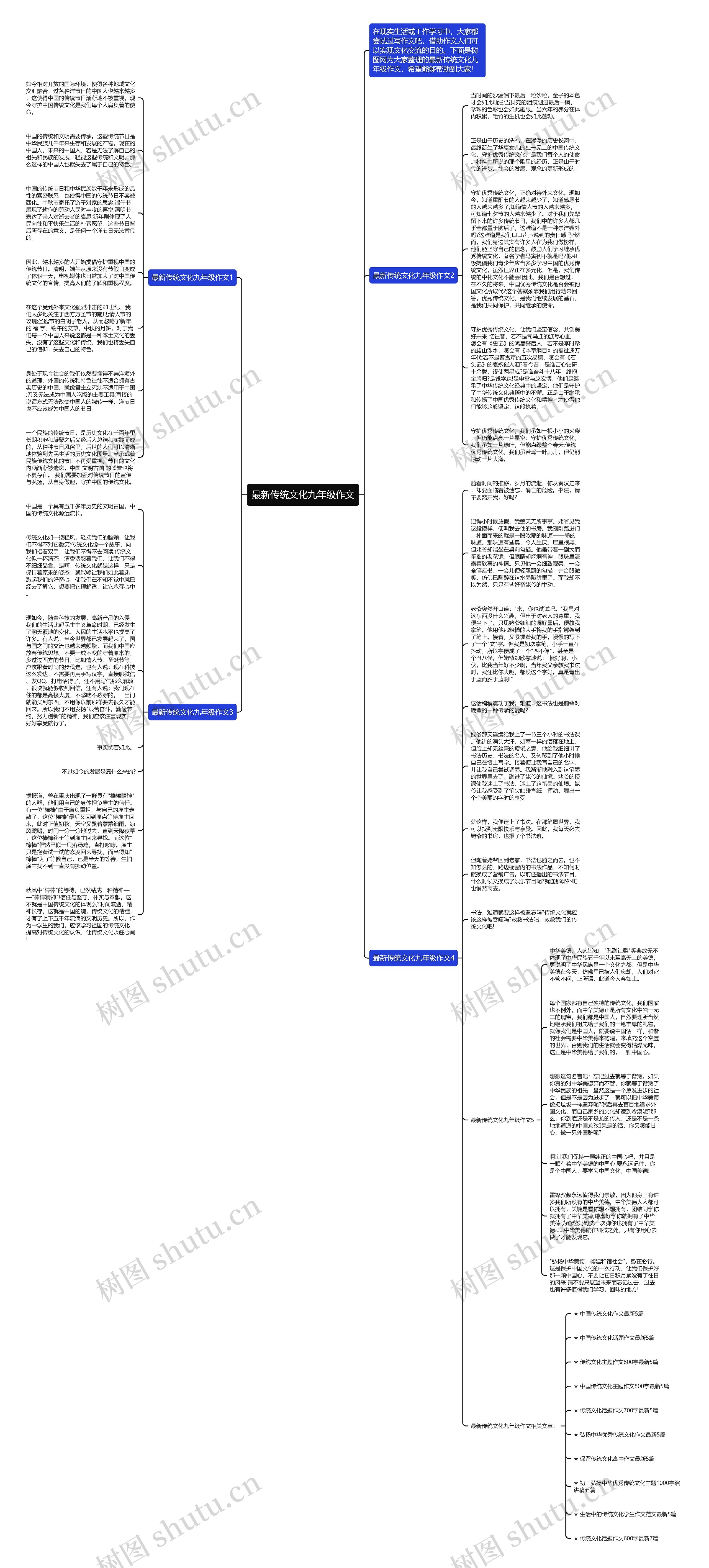 最新传统文化九年级作文思维导图