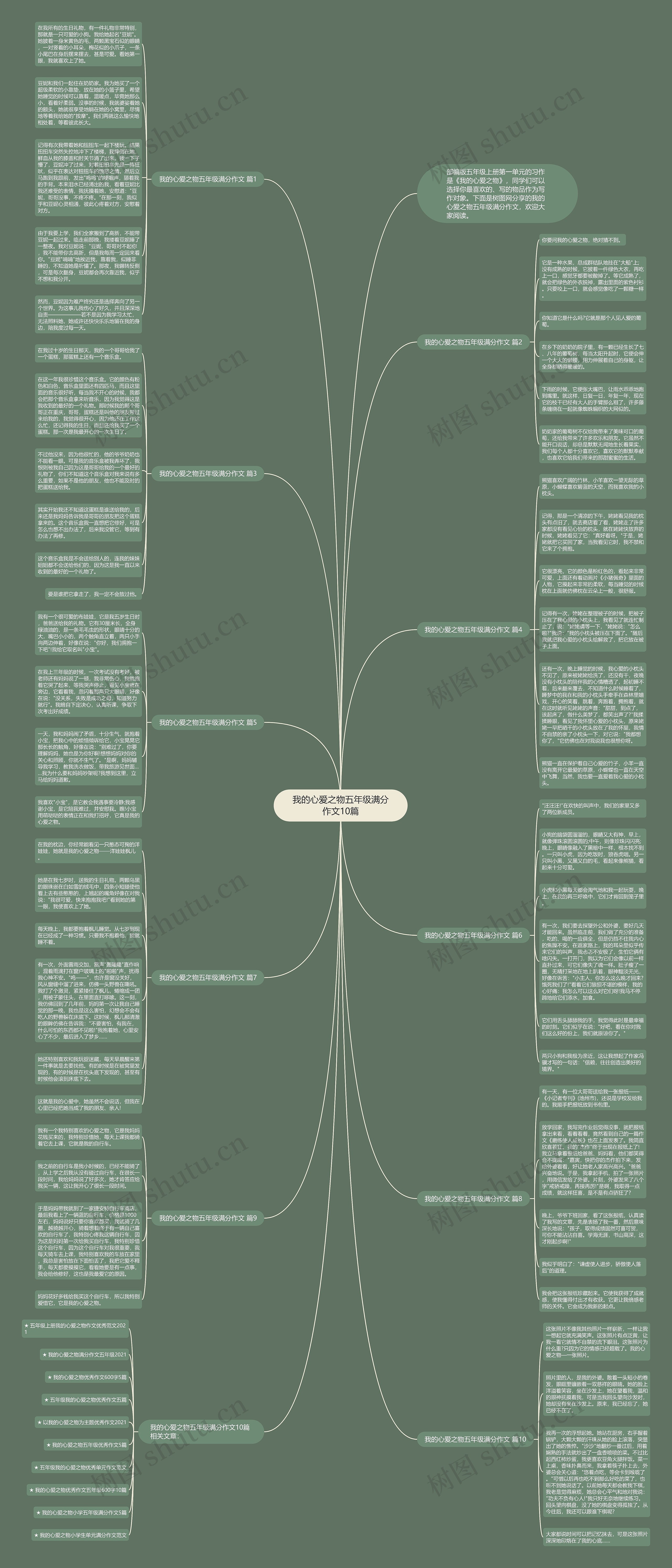 我的心爱之物五年级满分作文10篇思维导图