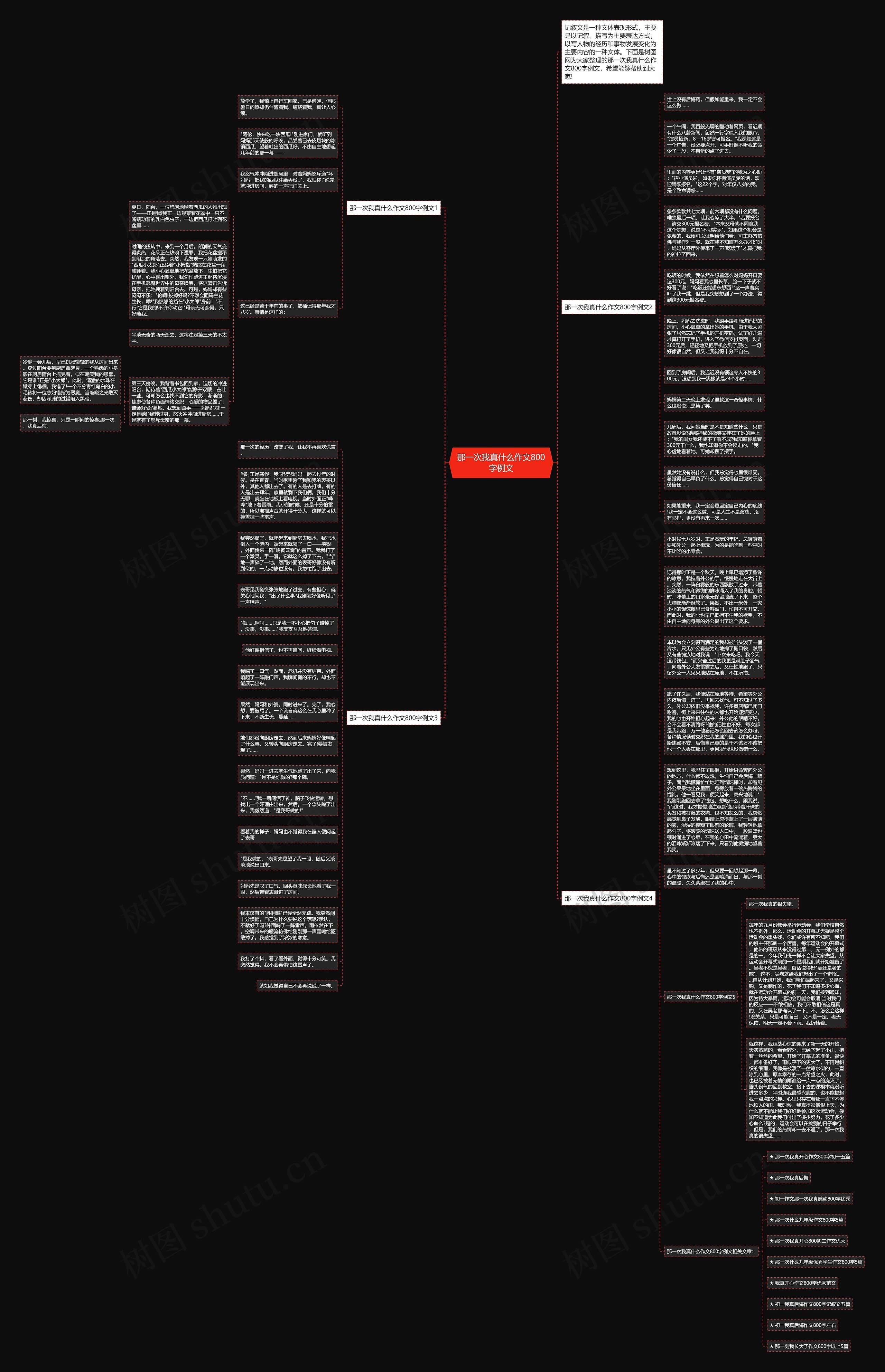 那一次我真什么作文800字例文思维导图