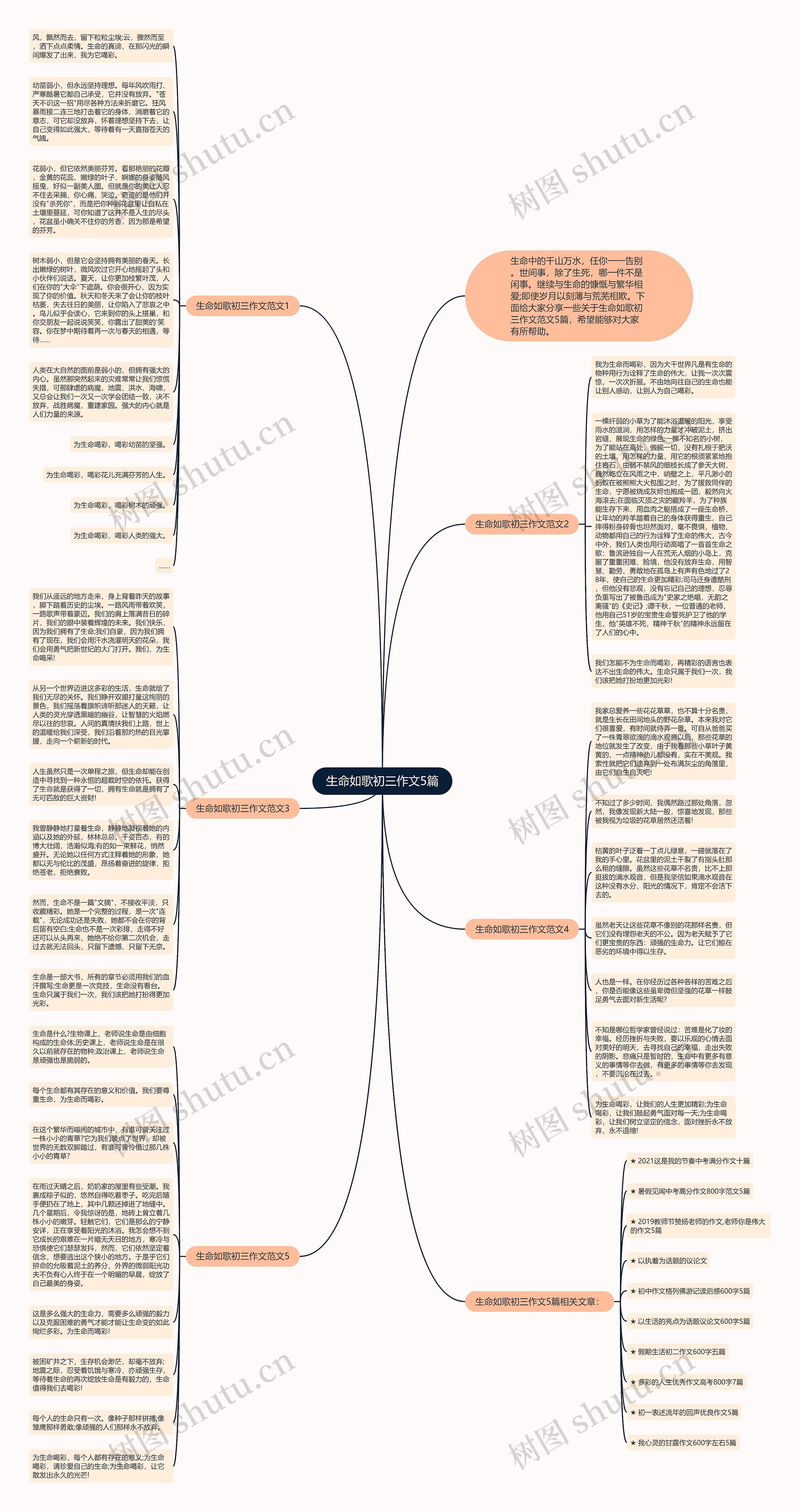生命如歌初三作文5篇思维导图