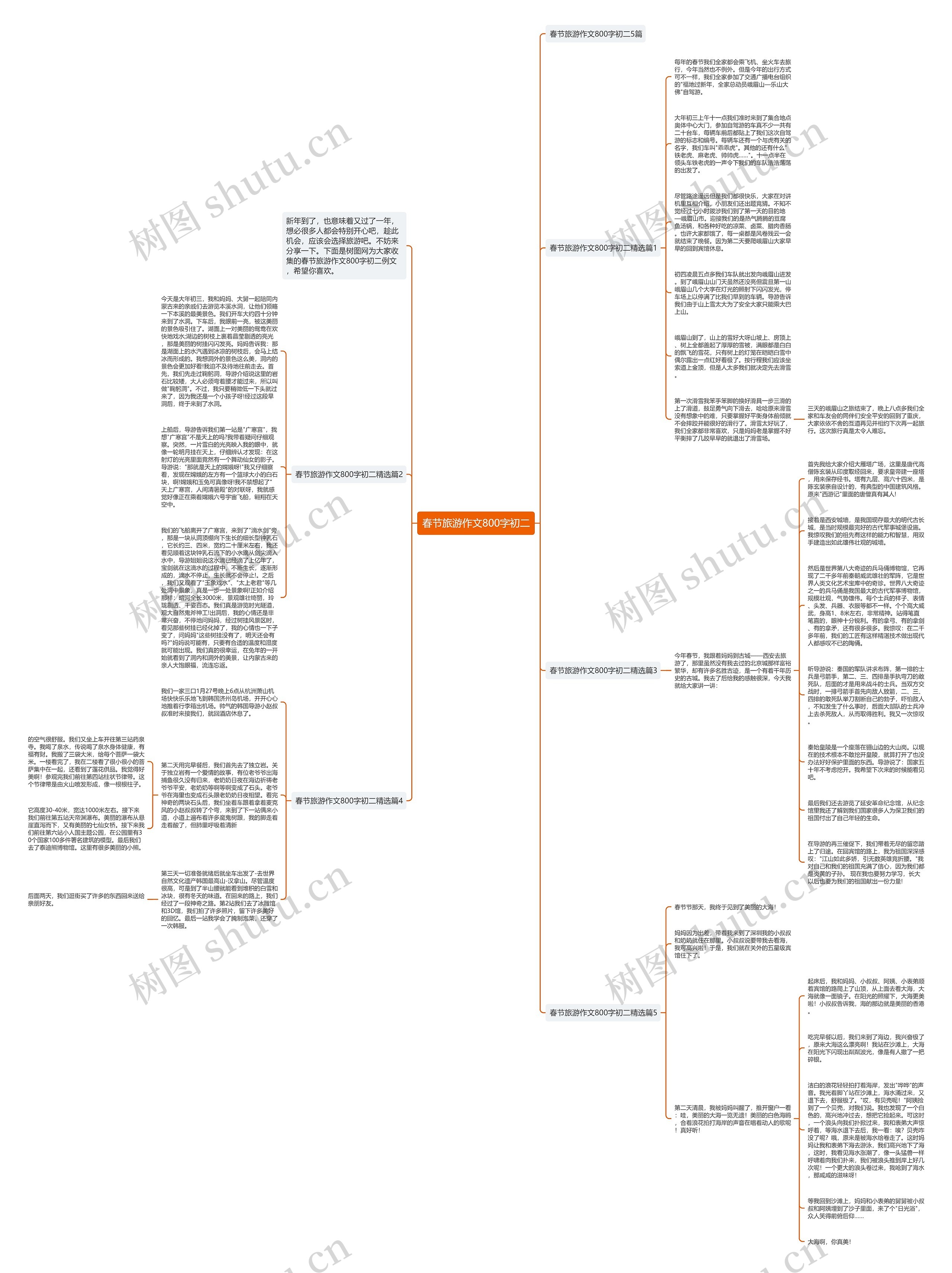 春节旅游作文800字初二思维导图