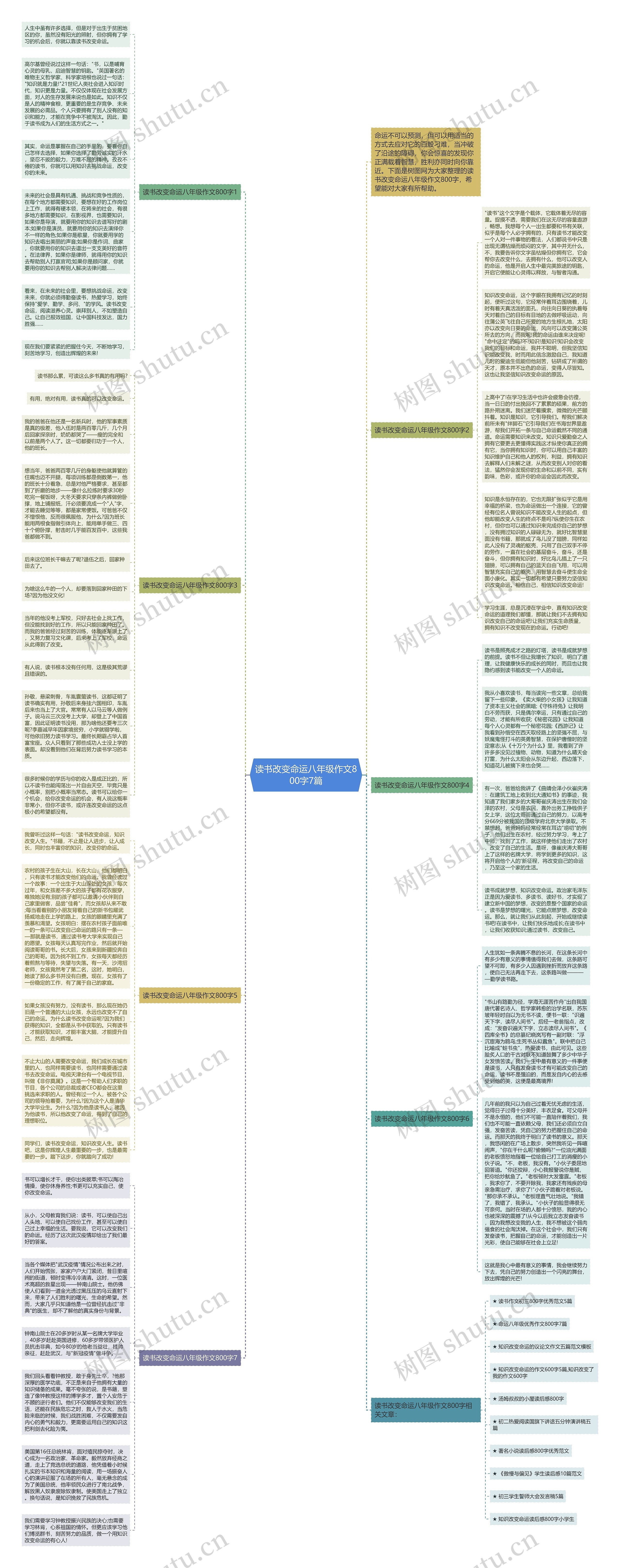 读书改变命运八年级作文800字7篇思维导图