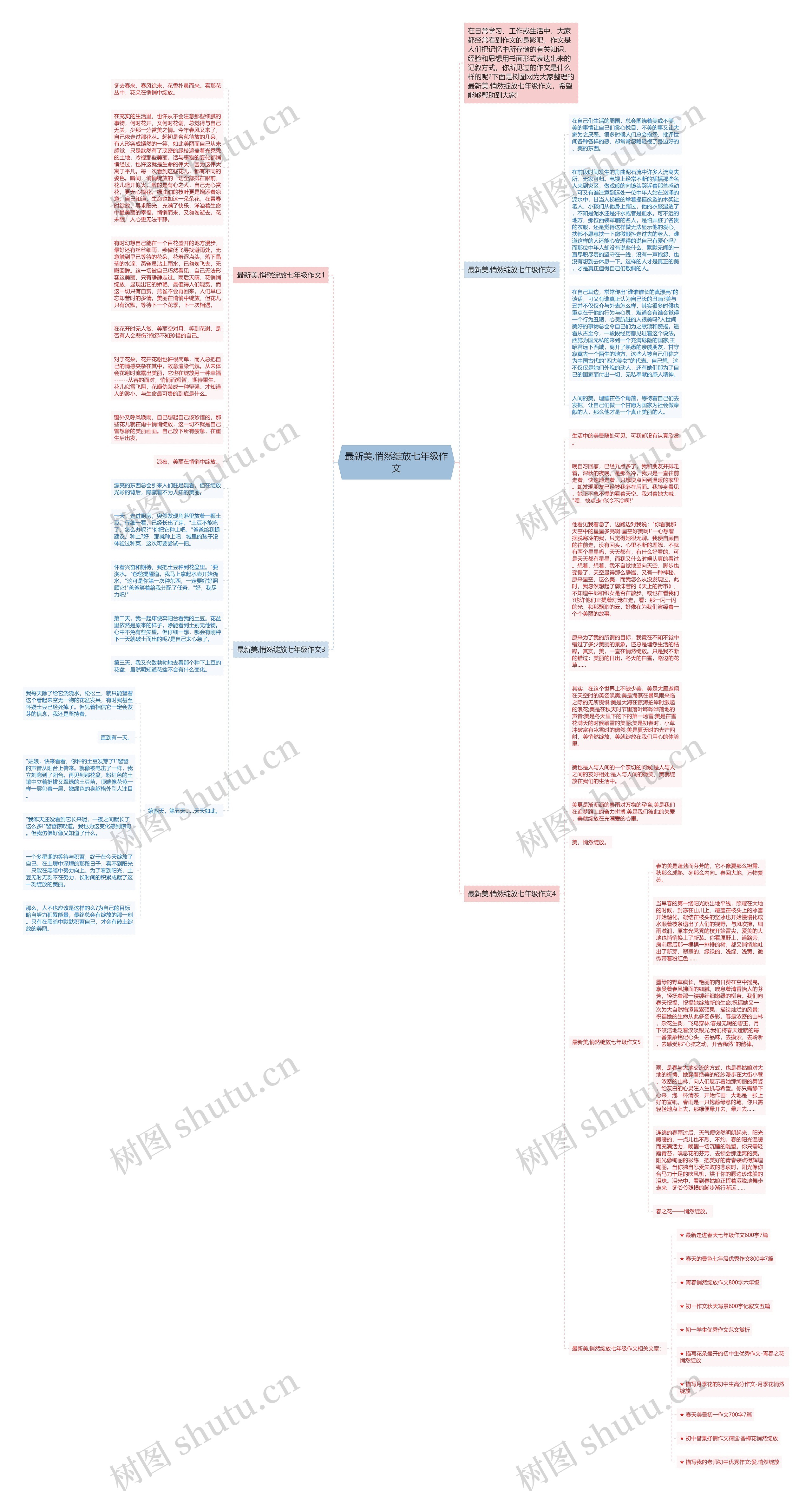 最新美,悄然绽放七年级作文思维导图