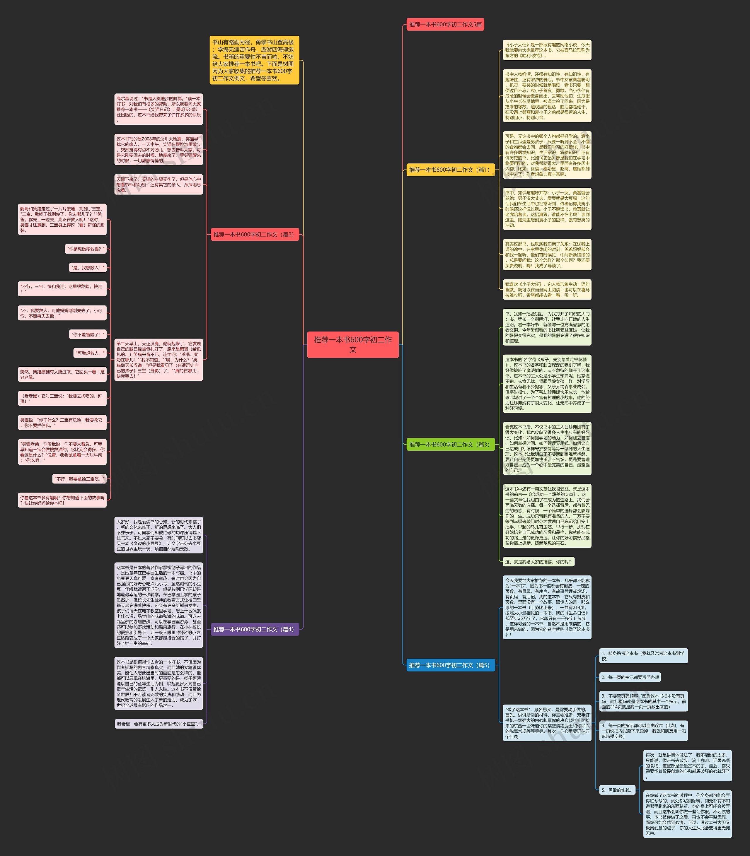 推荐一本书600字初二作文思维导图