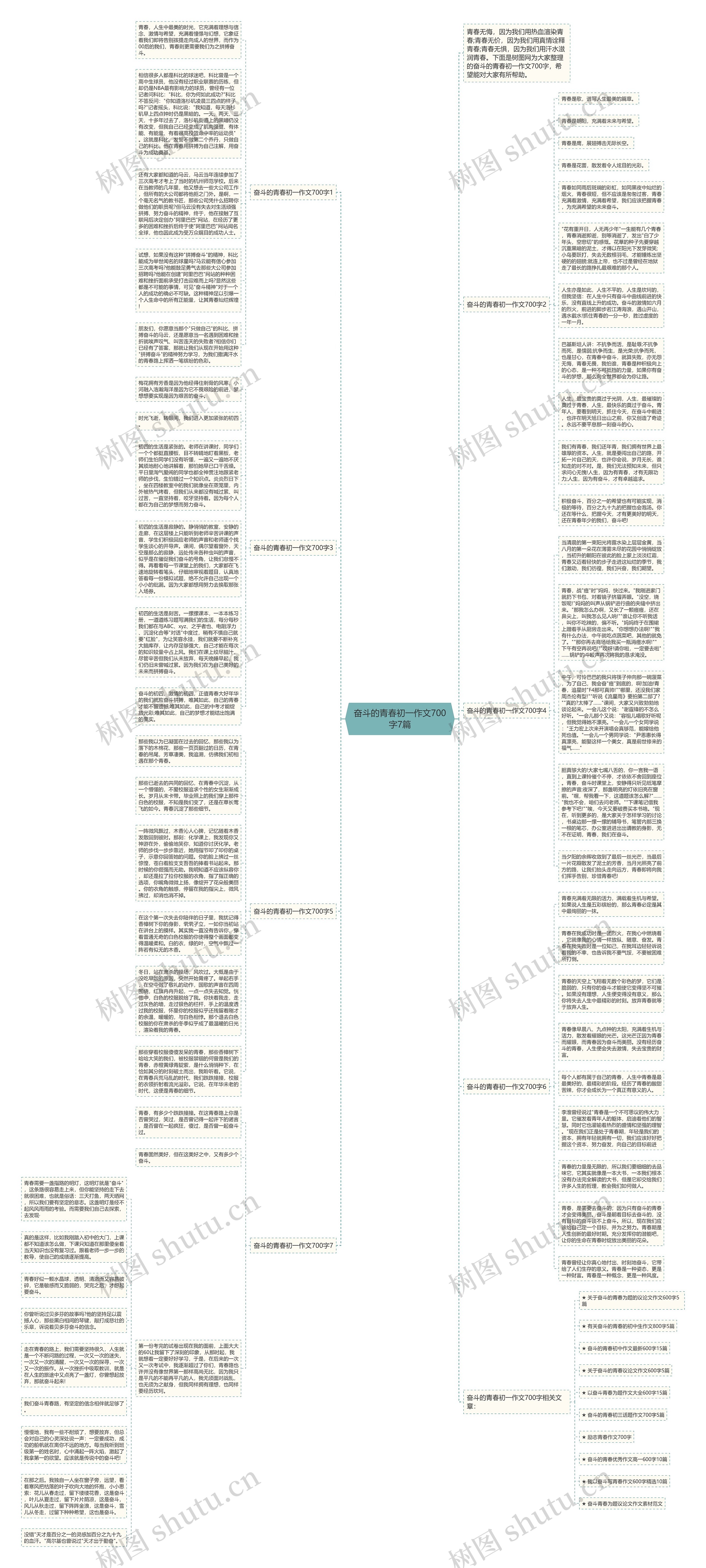 奋斗的青春初一作文700字7篇思维导图