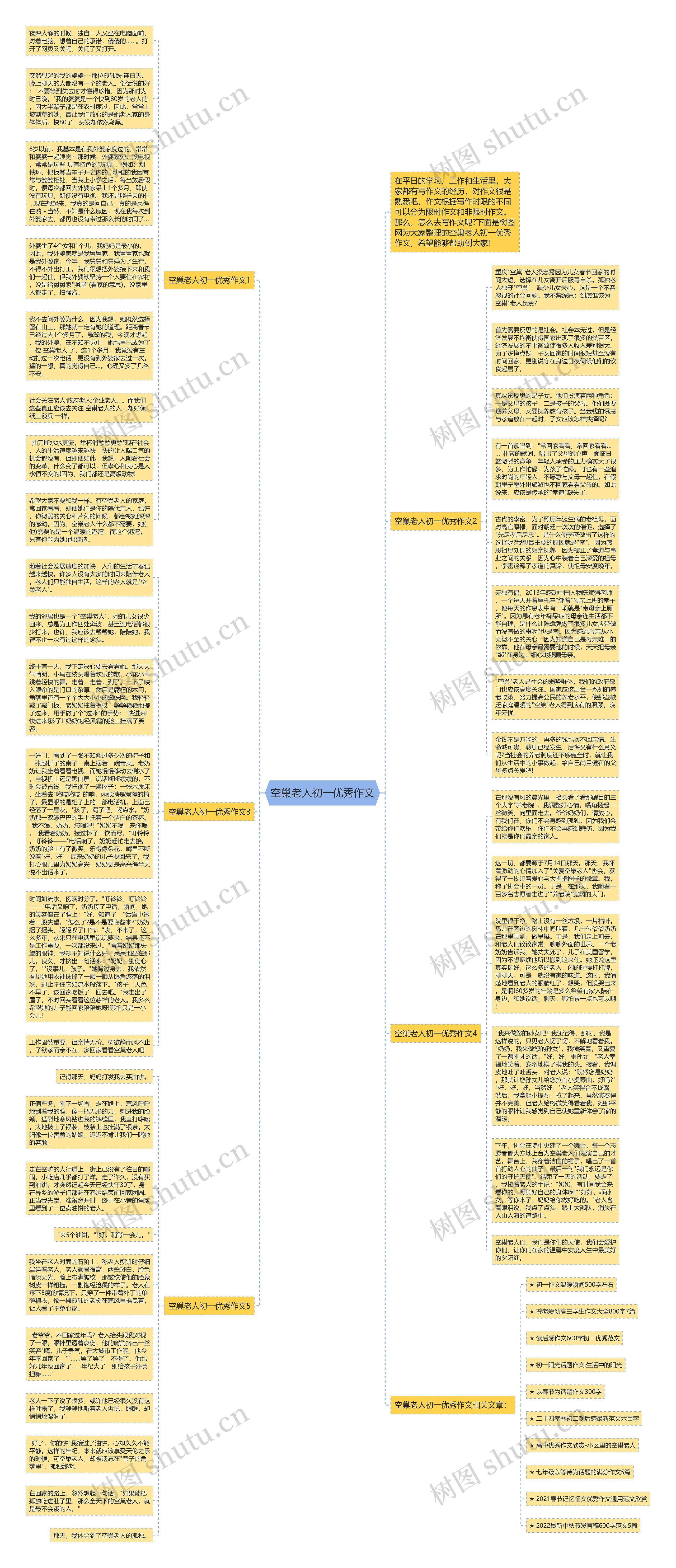 空巢老人初一优秀作文思维导图