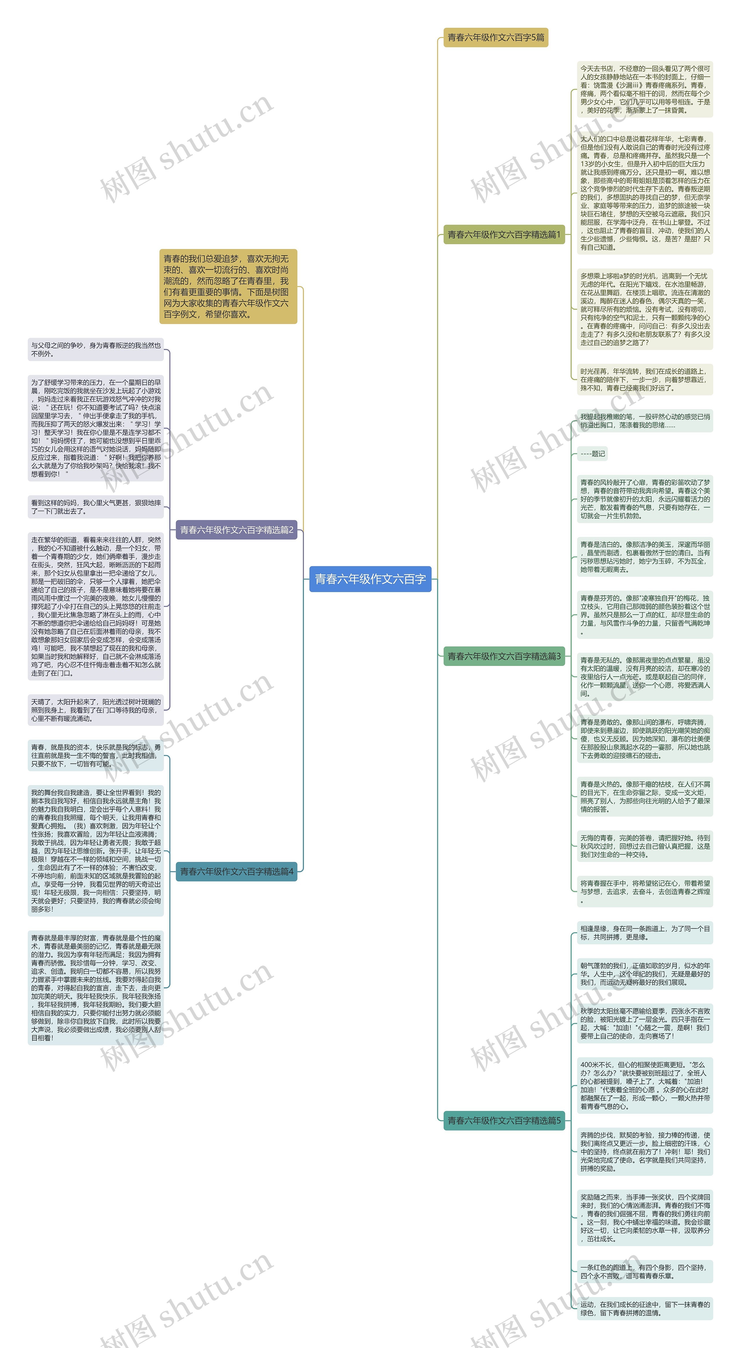 青春六年级作文六百字思维导图
