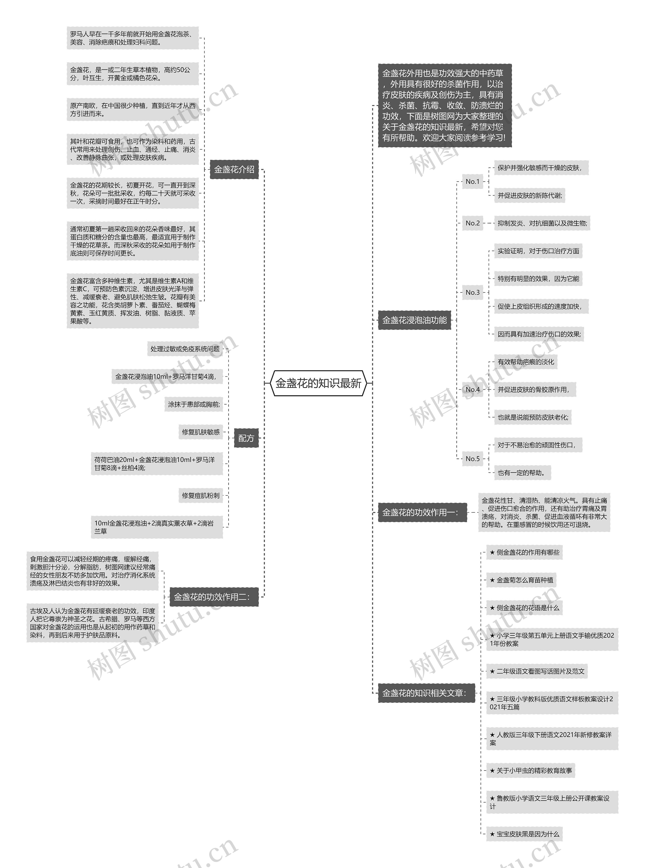 金盏花的知识最新思维导图