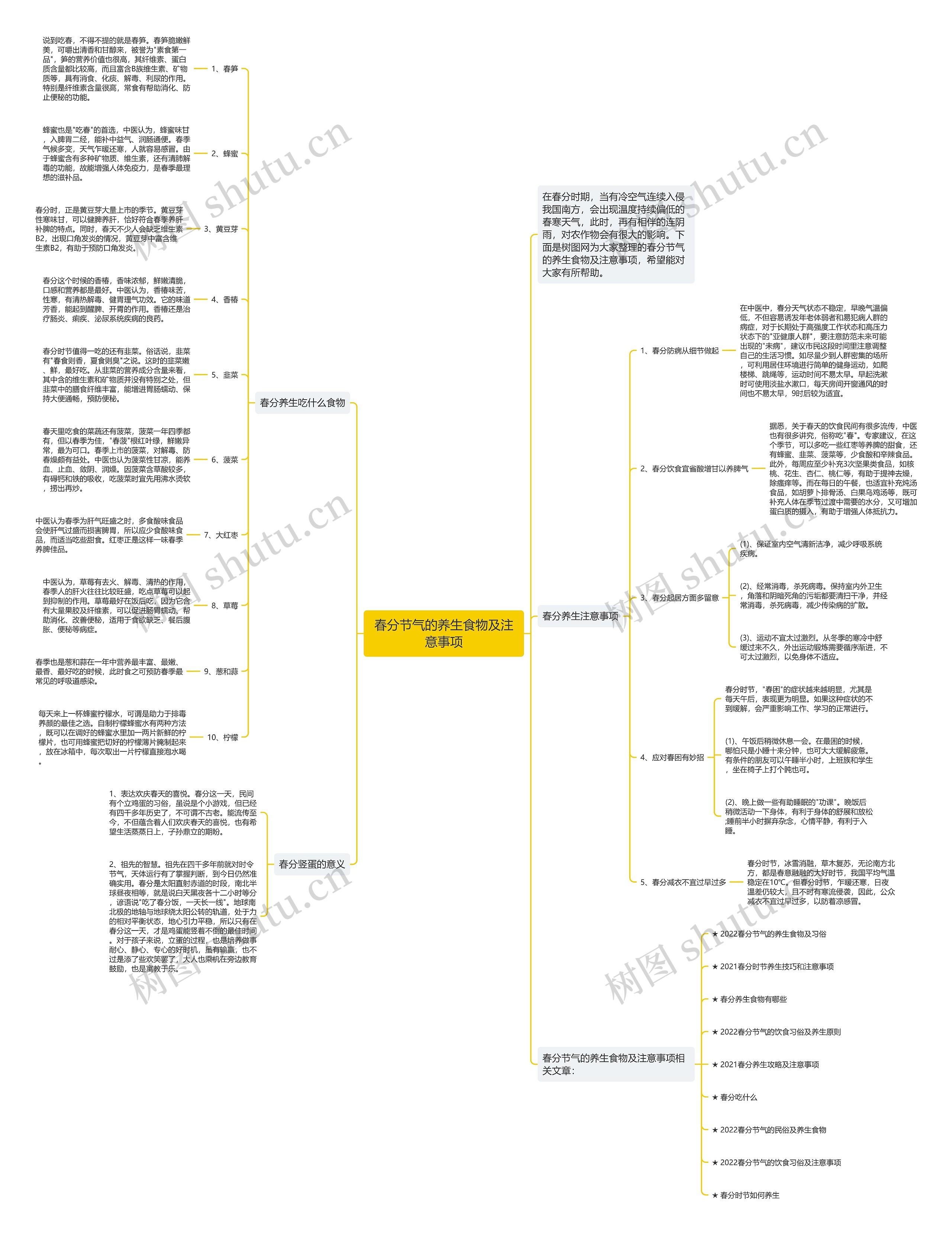 春分节气的养生食物及注意事项思维导图