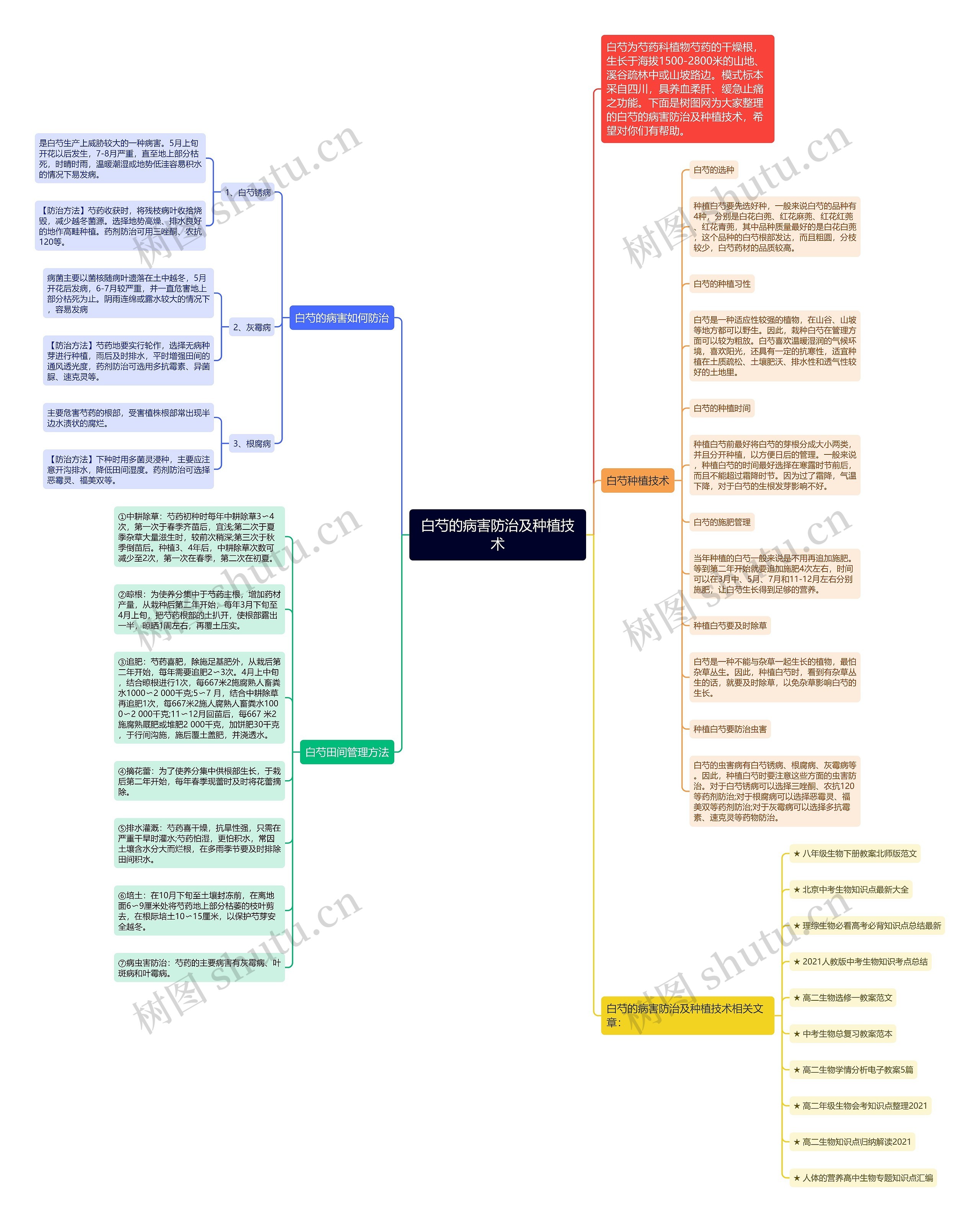 白芍的病害防治及种植技术思维导图