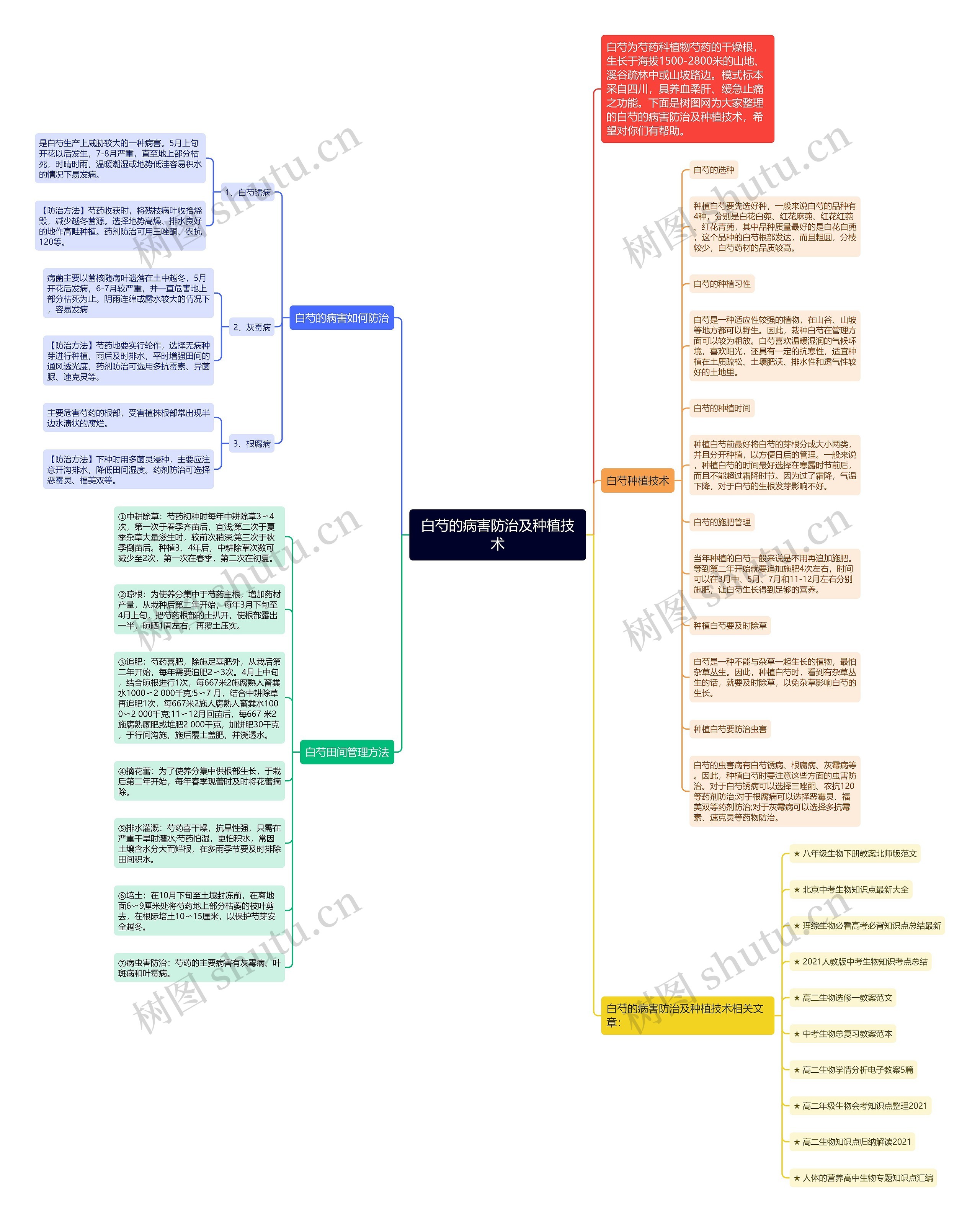 白芍的病害防治及种植技术思维导图高清图 白芍的病害防治及种植技术思维导图